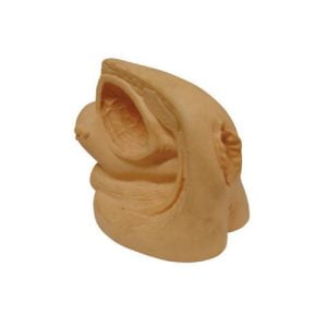 XC-BLS , XC-BLS Basic life support, BLS manikin (CPR & AED simulator) AED monitor, XC-101, XC-101 Life size skeleton (180 cm) with stand, XC-101 A, XC-101 A Skeleton (180 cm) Muscles & Ligaments, XC-101 E, XC-101 E Skeleton (180 cm) Flexible, XC-101 F, XC-101 F Flexible Skeleton with Ligaments, XC-102, XC-102 Skeleton (85 cm), XC-102 A, XC-102 A Skeleton (85 cm) with Spinal Nerves, XC-102 B, XC-102 B Skeleton (85 cm) with Spinal Nerves & Blood Vessel, XC-102 C, XC-102 C Skeleton (85 cm) with Painted Muscles, XC-102 CN, XC-102 CN Skeleton (85 cm) with Painted Muscles, XC-103, XC-103 Mini Skeleton, XC-104, XC-104 Life size Skull, XC-104 B, XC-104 B Life size Skull Painted, XC-104 C, XC-104 C Life size Skull colored bones, XC-104 D, XC-104 D Deluxe Life size Skull (Style D), XC-104 E, XC-104 E Skull with 8 parts Brain, XC-105, XC-105 Life size Vertebrae Column with Pelvis, XC-105 A, XC-105 A Vertebrae Column with Pelvis & Painted Muscles, XC-105 AN, XC-105 AN Vertebrae Column with Pelvis & Numbered Painted Muscles, XC-105 C, XC-105 C Didactic Flexible Vertebrae Column with Pelvis, XC-106, XC-106 Miniature Plastic Skull, XC-107, XC-107 Life size Vertebral column, XC-107 A, XC-107 A Vertebral column with painted muscles, XC-107 C, XC-107 C Didactic Vertebral column, XC-107 D, XC-107 D Vertebral column disarticulate model, XC-109, XC-109 Life size shoulder joint, XC-109 A, XC-109 A Life size muscled Shoulder joint, XC-110, XC-110 Life size Hip Joint, XC-111, XC-111 Life size Knee Joint, XC-112, XC-112 Life size Elbow Joint, XC-113, XC-113 Life size foot Joint, XC-113 A, XC-113 A Life size foot Joint with Ligaments, XC-114 Life size hand Joint, XC-114 A, XC-114 A Life size hand Joint with Ligaments, XC-115, XC-115 Life size pelvis with 5 pcs Lumber Vertebrae, XC-115 A, XC-115 A Half size pelvis with 5 pcs Lumber Vertebrae, XC-116, XC-116 Lumber set 2 Pcs, XC-117, XC-117 Lumber set 3 Pcs, XC-118, XC-118 Lumber set 4 Pcs, XC-119, XC-119 Life size lumber Vertebrae with sacrum & Coccyx & Herniated, XC-119 A, XC-119 A Mini Lumber Vertebrae with Sacrum & Coccyx & Herniated Disc, XC-120, XC-120 Thoracic Spinal Column, XC-121, XC-121 Life size Upper Extremity, XC-122, XC-122 Life size lower Extremity, XC-123, XC-123 Adult male Pelvis, XC-124, XC-124 Adult Female Pelvis, XC-125, XC-125 Female Pelvic Muscles & Organs, XC-126, XC-126 Life size vertebral clumn with pelvis & Femur head, XC-126A, XC-126A vertebral clumn with pelvis & Femur heads & Painted Muscies, XC-126AN, XC-126AN vertebral clumn with pelvis & Femur heads and numbered Painted Muscies, XC-126 C, XC-126 C Didactic vertebral clumn with pelvis & Femur head, XC-126 D, XC-126 D Flexible vertebral with removable Pelvis & Femur, XC-127, XC-127 Birth Demonstration, XC-128, XC-128 Life size pelvis with 2 Pcs Lumber Vertebrae, XC-130, XC-130 Disarticulated Skeleton with Skull, XC-133, XC-133 Cervical Vertebral Clumn with Nack Artery, XC-134, XC-134 Cutaway Osteoporosis, XC-135, XC-135 Skull with CervicalmSpine, XC-135 E, XC-135 E Skull with Brain and Cervical Spain 8 Parts, XC-201, XC-201 Male Torso (85 cm) 19 Parts, XC-202 A, XC-202 A Male Torso (42 cm) 13 Parts, XC-203, XC-203 Torso (26 cm) 15 Parts, XC-204, XC-204 Unisex Torso (85 cm) 23 Parts, XC-205, XC-205 Unisex Torso (45 cm) 23 Parts, XC-206, XC-206 Sexless Torso (85 cm) 20 Parts, XC-207, XC-207 Sexless Torso (42 cm) 18 Parts, XC-208, XC-208 Unisex Torso (85 cm) 40 Parts, XC-209, XC-209 Unisex Torso (85 cm) 20 Parts, XC-210, XC-210 Unisex Torso (85 cm) 30 Parts, XC-301, XC-301 Magnified Human Lartnx, XC-302, XC-302 Magnified Pulmonary Alveoli, XC-303 A, XC-303 A Giant Ear, XC-303 B, XC-303 B Middle Ear, XC-303 C, XC-303 C New Style Giant Ear, XC-303 D, XC-303 D Desktop Ear, XC-304, XC-304 Brain, XC-304 A, XC-304 A New Style Brain, XC-304 B, XC-304 B Brain, XC-305, XC-305 Expansion of Human Teeth, XC-306, XC-306 Stomach, XC-307, XC-307 Jumbo Heart, XC-307 A, XC-307 A Life size Heart, XC-307 B, XC-307 B New style life size heart, XC-307C, XC-307C New style Jumbo Heart, XC-307 D, XC-307 D Middle Heart, XC-308, XC-308 Brain with Arteries, XC-308 A, XC-308 A Brain with Arterial, XC-308 D, XC-308 D Brain with Arterial 9 Parts, XC-309, XC-309 Anatomy Nasal Cavity, XC-310-1, XC-310-1 Kidney, XC-310-2, XC-310-2 Kidney 2 Parts, XC-310-3, XC-310-3 Kidney with Adrenal Gland, XC-310-4, XC-310-4 Enlarged Kidney, XC-311, XC-311 Liver, Pancreas & Duodenum, XC-312, XC-312 Liver, XC-313, XC-313 Enlarge Skin, XC-313-2, XC-313-2 Skin Block, XC-313-3, XC-313-3 Skin Section, XC-315, XC-315 Digestive System, XC-316, XC-316 Giant Eye, XC-316 A, XC-316 A Giant Eye A, XC-316 B, XC-316 B Eye with Orbit, XC-317, XC-317 Expansion of Urinary Bladder, XC-318, XC-318 Brain with Arteries on Head, XC-318 B, XC-318 B Head with Brain, XC-319, XC-319 Median section of the Head, XC-319 A, XC-319 A Frontal Section & Median Section of the Head, XC-319 B, XC-319 B Frontal section of Head, XC-320, XC-320 Larynx, Heart & Lung, XC-321, XC-321 Lung, XC-321 B, XC-321 B Lung, XC-322, XC-322 Circulatory system, XC-324, XC-324 The Head, XC-325, XC-325 Plam Anatomy, XC-326, XC-326 Normal Flat & Arched Foot, XC-330, XC-330 Transparent Lung Segment, XC-331, XC-331 Male Urogenital system, XC-331 A, XC-331 A Human male Pelvis section Part 1, XC-331 B, XC-331 B Human male Pelvis section Part 2, XC-331 C, XC-331 C Advanced Male internal & external Gental Organs, XC-331 D, XC-331 D Male Gental Organ, XC-332, XC-332 Female Urogenital System, XC-332 A, XC-332 A Female Pelvis section 1 Part, XC-332 B, XC-332 B Female Pelvis section 4 Parts, XC-332 B-1, XC-332 B-1Female Pelvis section 2 Part2, XC-332 C, XC-332 C Advanced Female internal & external Gental Organ, XC-332 D, XC-332 D Female Pelvis, XC-333, XC-333 Urinary system, XC-334, XC-334 Human (80 cm) Muscles Male (27 Parts), XC-335, XC-335 Human Muscles 50 cm 1 Part, XC-336, XC-336 Muscles of human Arm 7 parts, XC-337, XC-337 Muscles of Lower Limb 13 Parts, XC-338, XC-338 Life size human Muscle foot (7 parts), XC-401, XC 401Multifunctional patient care Manikin, XC-401 A, XC-401 A High quality Nurse Trainning Doll (Male), XC-401 A-1, XC-401 A-1 New style High quality Nurse Trainning Doll (Male), XC-401 A-2, XC-401 A-2 Advanced Nurse Trainning Doll (with BP Trainning Arm Male), XC-401 B, XC-401 B High quality Nurse Trainning Doll (Female), XC-401 B-1, XC-401 B-1 New style High quality Nurse Trainning Doll (Female), XC-401 B-2, XC-401 B-2 Advanced Nurse trainning doll (with BP Trainning Arm Female), XC-401 C, XC-401 C Advanced Multifunctional Nursing Trainning Doll, XC-401 D, XC-401 D Advanced Trauma Simulator, XC-401 D-1, XC-401 D-1 Advance Trauma Accessories, XC-401 M, XC-401 M Multifunctional patient care Manikin (Male), XC-402, XC-402 Course of delivery, XC-402 A, XC-402 A Advanced Course of delivery, XC-402 A-1, XC-402 A-1 Delivery Machine, XC-403, XC-403 Dental Care (28 teeth), XC-403 A, XC-403 A Dental Care (32 teeth), XC-403 B, XC-403 B Small Dental Care (28 teeth), XC-403 C, XC-403 C Small Dental Care (32 teeth), XC-403 D, XC-403 D Dental Care with Cheek, XC-404, XC-404 Basic CPR Trainning (half Body), XC-404 A, XC-404 A Half body CPR Trainninf (male), XC-404 B, XC-404 B Half body CPR Trainninf (Female), XC-405, XC-405 Nurse Basic Practice Teaching 5 parts, XC-405 A, XC-405 A Simple male Urethral catheterization simulator, XC-405 B, XC-405 B Simple Female Urethral catheterization simulator, XC-405-2, XC-405-2 Transparent gastric lavage model, XC-406-1, XC-406-1 Whole body basic CPR Manikin style 100 (Male/Female), XC-406-2, XC-406-2 Whole body basic CPR Manikin style 200 (Male/Female), XC-406-5, XC-406-5 Whole body basic CPR Manikin style 500 (Male/Female), XC-406-5 Plus, XC-406-5 Plus New style CPR Trainning Manikin, XC-406A 5 Plus, XC-406A 5 Plus Whole advanced CPR Manikin style 500 (Female), XC-407, XC-407 Human Trachea Intubation, XC-407 A, XC-407 A Advanced Human Trachea Intubation, XC-408, XC-408 Electronic Urinary, XC-408 C, XC-408 C Advanced male Urethral Catheterization simulator, XC-408 D, XC-408 D Advanced female Urethral Catheterization simulator, XC-408 E, XC-408 E Transparant male Urethral Catheterization simulator, XC-408 F, XC-408 F Transparent female Urethral Catheterization simulator, XC-409, XC-409 New Born baby, XC-409 A, XC-409 A New style New Born baby, XC-409A-1, XC-409A-1 New style New Born baby model (Girl), XC-409 B, XC-409 B Advanced New Born care, XC-409 C, XC-409 C Advanced neonate Umbilical cord, XC-409 C-1, XC-409 C-1 Umbilical Cord, XC-409 D, XC-409 D Tracheostomy care infant, XC-409 E, XC-409 E Neonate scalp venipuncture, XC-410, XC-410 New born Intubation, XC-410 A, XC-410 A Infant Intubation trainning, XC-411, XC-411 Gynecological Trainning simulator, XC-412, XC-412 Advanced maternity, XC-414, XC-414 Development process for ferus, XC-414 A, XC-414 A The development process for ferus (half size), XC-416, XC-416 New born CPR Trainning manikin, XC-417, XC-417 Conception Guidance, XC-417 A, XC-417 A Female Contraception Guidance, XC-417 B, XC-417 B Male Condom Simulator (Transparent Base), XC-418, XC-418 Breast Examination, XC-418 B, XC-418 B Lactation Trainning model, Xincheng Scientific Industries Co., Ltd, Xincheng Scientific Model, Xincheng Scientific Human model, Xincheng Scientific Human body models, Models, Charts, Human body charts, China Models, China Chart, XC-BLS price in bd, XC-BLS Basic life support price in bd, BLS manikin (CPR & AED simulator) AED monitor price in bd, XC-101 price in bd, XC-101 Life size skeleton (180 cm) with stand price in bd, XC-101 A price in bd, XC-101 A Skeleton (180 cm) Muscles & Ligaments price in bd, XC-101 E price in bd, XC-101 E Skeleton (180 cm) Flexible price in bd, XC-101 F price in bd, XC-101 F Flexible Skeleton with Ligaments price in bd, XC-102 price in bd, XC-102 Skeleton (85 cm) price in bd, XC-102 A price in bd, XC-102 A Skeleton (85 cm) with Spinal Nerves price in bd, XC-102 B price in bd, XC-102 B Skeleton (85 cm) with Spinal Nerves & Blood Vessel price in bd, XC-102 C price in bd, XC-102 C Skeleton (85 cm) with Painted Muscles price in bd, XC-102 CN price in bd, XC-102 CN Skeleton (85 cm) with Painted Muscles price in bd, XC-103 price in bd, XC-103 Mini Skeleton price in bd, XC-104 price in bd, XC-104 Life size Skull price in bd, XC-104 B price in bd, XC-104 B Life size Skull Painted price in bd, XC-104 C price in bd, XC-104 C Life size Skull colored bones price in bd, XC-104 D price in bd, XC-104 D Deluxe Life size Skull (Style D) price in bd, XC-104 E price in bd, XC-104 E Skull with 8 parts Brain price in bd, XC-105 price in bd, XC-105 Life size Vertebrae Column with Pelvis price in bd, XC-105 A price in bd, XC-105 A Vertebrae Column with Pelvis & Painted Muscles price in bd, XC-105 AN price in bd, XC-105 AN Vertebrae Column with Pelvis & Numbered Painted Muscles price in bd, XC-105 C price in bd, XC-105 C Didactic Flexible Vertebrae Column with Pelvis price in bd, XC-106 price in bd, XC-106 Miniature Plastic Skull price in bd, XC-107 price in bd, XC-107 Life size Vertebral column price in bd, XC-107 A price in bd, XC-107 A Vertebral column with painted muscles price in bd, XC-107 C price in bd, XC-107 C Didactic Vertebral column price in bd, XC-107 D price in bd, XC-107 D Vertebral column disarticulate model price in bd, XC-109 price in bd, XC-109 Life size shoulder joint price in bd, XC-109 A price in bd, XC-109 A Life size muscled Shoulder joint price in bd, XC-110 price in bd, XC-110 Life size Hip Joint price in bd, XC-111 price in bd, XC-111 Life size Knee Joint price in bd, XC-112 price in bd, XC-112 Life size Elbow Joint price in bd, XC-113 price in bd, XC-113 Life size foot Joint price in bd, XC-113 A price in bd, XC-113 A Life size foot Joint with Ligaments price in bd, XC-114 Life size hand Joint price in bd, XC-114 A price in bd, XC-114 A Life size hand Joint with Ligaments price in bd, XC-115 price in bd, XC-115 Life size pelvis with 5 pcs Lumber Vertebrae price in bd, XC-115 A price in bd, XC-115 A Half size pelvis with 5 pcs Lumber Vertebrae price in bd, XC-116 price in bd, XC-116 Lumber set 2 Pcs price in bd, XC-117 price in bd, XC-117 Lumber set 3 Pcs price in bd, XC-118 price in bd, XC-118 Lumber set 4 Pcs price in bd, XC-119 price in bd, XC-119 Life size lumber Vertebrae with sacrum & Coccyx & Herniated price in bd, XC-119 A price in bd, XC-119 A Mini Lumber Vertebrae with Sacrum & Coccyx & Herniated Disc price in bd, XC-120 price in bd, XC-120 Thoracic Spinal Column price in bd, XC-121 price in bd, XC-121 Life size Upper Extremity price in bd, XC-122 price in bd, XC-122 Life size lower Extremity price in bd, XC-123 price in bd, XC-123 Adult male Pelvis price in bd, XC-124 price in bd, XC-124 Adult Female Pelvis price in bd, XC-125 price in bd, XC-125 Female Pelvic Muscles & Organs price in bd, XC-126 price in bd, XC-126 Life size vertebral clumn with pelvis & Femur head price in bd, XC-126A price in bd, XC-126A vertebral clumn with pelvis & Femur heads & Painted Muscies price in bd, XC-126AN price in bd, XC-126AN vertebral clumn with pelvis & Femur heads and numbered Painted Muscies price in bd, XC-126 C price in bd, XC-126 C Didactic vertebral clumn with pelvis & Femur head price in bd, XC-126 D price in bd, XC-126 D Flexible vertebral with removable Pelvis & Femur price in bd, XC-127 price in bd, XC-127 Birth Demonstration price in bd, XC-128 price in bd, XC-128 Life size pelvis with 2 Pcs Lumber Vertebrae price in bd, XC-130 price in bd, XC-130 Disarticulated Skeleton with Skull price in bd, XC-133 price in bd, XC-133 Cervical Vertebral Clumn with Nack Artery price in bd, XC-134 price in bd, XC-134 Cutaway Osteoporosis price in bd, XC-135 price in bd, XC-135 Skull with CervicalmSpine price in bd, XC-135 E price in bd, XC-135 E Skull with Brain and Cervical Spain 8 Parts price in bd, XC-201 price in bd, XC-201 Male Torso (85 cm) 19 Parts price in bd, XC-202 A price in bd, XC-202 A Male Torso (42 cm) 13 Parts price in bd, XC-203 price in bd, XC-203 Torso (26 cm) 15 Parts price in bd, XC-204 price in bd, XC-204 Unisex Torso (85 cm) 23 Parts price in bd, XC-205 price in bd, XC-205 Unisex Torso (45 cm) 23 Parts price in bd, XC-206 price in bd, XC-206 Sexless Torso (85 cm) 20 Parts price in bd, XC-207 price in bd, XC-207 Sexless Torso (42 cm) 18 Parts price in bd, XC-208 price in bd, XC-208 Unisex Torso (85 cm) 40 Parts price in bd, XC-209 price in bd, XC-209 Unisex Torso (85 cm) 20 Parts price in bd, XC-210 price in bd, XC-210 Unisex Torso (85 cm) 30 Parts price in bd, XC-301 price in bd, XC-301 Magnified Human Lartnx price in bd, XC-302 price in bd, XC-302 Magnified Pulmonary Alveoli price in bd, XC-303 A price in bd, XC-303 A Giant Ear price in bd, XC-303 B price in bd, XC-303 B Middle Ear price in bd, XC-303 C price in bd, XC-303 C New Style Giant Ear price in bd, XC-303 D price in bd, XC-303 D Desktop Ear price in bd, XC-304 price in bd, XC-304 Brain price in bd, XC-304 A price in bd, XC-304 A New Style Brain price in bd, XC-304 B price in bd, XC-304 B Brain price in bd, XC-305 price in bd, XC-305 Expansion of Human Teeth price in bd, XC-306 price in bd, XC-306 Stomach price in bd, XC-307 price in bd, XC-307 Jumbo Heart price in bd, XC-307 A price in bd, XC-307 A Life size Heart price in bd, XC-307 B price in bd, XC-307 B New style life size heart price in bd, XC-307C price in bd, XC-307C New style Jumbo Heart price in bd, XC-307 D price in bd, XC-307 D Middle Heart price in bd, XC-308 price in bd, XC-308 Brain with Arteries price in bd, XC-308 A price in bd, XC-308 A Brain with Arterial price in bd, XC-308 D price in bd, XC-308 D Brain with Arterial 9 Parts price in bd, XC-309 price in bd, XC-309 Anatomy Nasal Cavity price in bd, XC-310-1 price in bd, XC-310-1 Kidney price in bd, XC-310-2 price in bd, XC-310-2 Kidney 2 Parts price in bd, XC-310-3 price in bd, XC-310-3 Kidney with Adrenal Gland price in bd, XC-310-4 price in bd, XC-310-4 Enlarged Kidney price in bd, XC-311 price in bd, XC-311 Liver price in bd, Pancreas & Duodenum price in bd, XC-312 price in bd, XC-312 Liver price in bd, XC-313 price in bd, XC-313 Enlarge Skin price in bd, XC-313-2 price in bd, XC-313-2 Skin Block price in bd, XC-313-3 price in bd, XC-313-3 Skin Section price in bd, XC-315 price in bd, XC-315 Digestive System price in bd, XC-316 price in bd, XC-316 Giant Eye price in bd, XC-316 A price in bd, XC-316 A Giant Eye A price in bd, XC-316 B price in bd, XC-316 B Eye with Orbit price in bd, XC-317 price in bd, XC-317 Expansion of Urinary Bladder price in bd, XC-318 price in bd, XC-318 Brain with Arteries on Head price in bd, XC-318 B price in bd, XC-318 B Head with Brain price in bd, XC-319 price in bd, XC-319 Median section of the Head price in bd, XC-319 A price in bd, XC-319 A Frontal Section & Median Section of the Head price in bd, XC-319 B price in bd, XC-319 B Frontal section of Head price in bd, XC-320 price in bd, XC-320 Larynx price in bd, Heart & Lung price in bd, XC-321 price in bd, XC-321 Lung price in bd, XC-321 B price in bd, XC-321 B Lung price in bd, XC-322 price in bd, XC-322 Circulatory system price in bd, XC-324 price in bd, XC-324 The Head price in bd, XC-325 price in bd, XC-325 Plam Anatomy price in bd, XC-326 price in bd, XC-326 Normal Flat & Arched Foot price in bd, XC-330 price in bd, XC-330 Transparent Lung Segment price in bd, XC-331 price in bd, XC-331 Male Urogenital system price in bd, XC-331 A price in bd, XC-331 A Human male Pelvis section Part 1 price in bd, XC-331 B price in bd, XC-331 B Human male Pelvis section Part 2 price in bd, XC-331 C price in bd, XC-331 C Advanced Male internal & external Gental Organs price in bd, XC-331 D price in bd, XC-331 D Male Gental Organ price in bd, XC-332 price in bd, XC-332 Female Urogenital System price in bd, XC-332 A price in bd, XC-332 A Female Pelvis section 1 Part price in bd, XC-332 B price in bd, XC-332 B Female Pelvis section 4 Parts price in bd, XC-332 B-1 price in bd, XC-332 B-1Female Pelvis section 2 Part2 price in bd, XC-332 C price in bd, XC-332 C Advanced Female internal & external Gental Organ price in bd, XC-332 D price in bd, XC-332 D Female Pelvis price in bd, XC-333 price in bd, XC-333 Urinary system price in bd, XC-334 price in bd, XC-334 Human (80 cm) Muscles Male (27 Parts) price in bd, XC-335 price in bd, XC-335 Human Muscles 50 cm 1 Part price in bd, XC-336 price in bd, XC-336 Muscles of human Arm 7 parts price in bd, XC-337 price in bd, XC-337 Muscles of Lower Limb 13 Parts price in bd, XC-338 price in bd, XC-338 Life size human Muscle foot (7 parts) price in bd, XC-401 price in bd, XC 401Multifunctional patient care Manikin price in bd, XC-401 A price in bd, XC-401 A High quality Nurse Trainning Doll (Male) price in bd, XC-401 A-1 price in bd, XC-401 A-1 New style High quality Nurse Trainning Doll (Male) price in bd, XC-401 A-2 price in bd, XC-401 A-2 Advanced Nurse Trainning Doll (with BP Trainning Arm Male) price in bd, XC-401 B price in bd, XC-401 B High quality Nurse Trainning Doll (Female) price in bd, XC-401 B-1 price in bd, XC-401 B-1 New style High quality Nurse Trainning Doll (Female) price in bd, XC-401 B-2 price in bd, XC-401 B-2 Advanced Nurse trainning doll (with BP Trainning Arm Female) price in bd, XC-401 C price in bd, XC-401 C Advanced Multifunctional Nursing Trainning Doll price in bd, XC-401 D price in bd, XC-401 D Advanced Trauma Simulator price in bd, XC-401 D-1 price in bd, XC-401 D-1 Advance Trauma Accessories price in bd, XC-401 M price in bd, XC-401 M Multifunctional patient care Manikin (Male) price in bd, XC-402 price in bd, XC-402 Course of delivery price in bd, XC-402 A price in bd, XC-402 A Advanced Course of delivery price in bd, XC-402 A-1 price in bd, XC-402 A-1 Delivery Machine price in bd, XC-403 price in bd, XC-403 Dental Care (28 teeth) price in bd, XC-403 A price in bd, XC-403 A Dental Care (32 teeth) price in bd, XC-403 B price in bd, XC-403 B Small Dental Care (28 teeth) price in bd, XC-403 C price in bd, XC-403 C Small Dental Care (32 teeth) price in bd, XC-403 D price in bd, XC-403 D Dental Care with Cheek price in bd, XC-404 price in bd, XC-404 Basic CPR Trainning (half Body) price in bd, XC-404 A price in bd, XC-404 A Half body CPR Trainninf (male) price in bd, XC-404 B price in bd, XC-404 B Half body CPR Trainninf (Female) price in bd, XC-405 price in bd, XC-405 Nurse Basic Practice Teaching 5 parts price in bd, XC-405 A price in bd, XC-405 A Simple male Urethral catheterization simulator price in bd, XC-405 B price in bd, XC-405 B Simple Female Urethral catheterization simulator price in bd, XC-405-2 price in bd, XC-405-2 Transparent gastric lavage model price in bd, XC-406-1 price in bd, XC-406-1 Whole body basic CPR Manikin style 100 (Male/Female) price in bd, XC-406-2 price in bd, XC-406-2 Whole body basic CPR Manikin style 200 (Male/Female) price in bd, XC-406-5 price in bd, XC-406-5 Whole body basic CPR Manikin style 500 (Male/Female) price in bd, XC-406-5 Plus price in bd, XC-406-5 Plus New style CPR Trainning Manikin price in bd, XC-406A 5 Plus price in bd, XC-406A 5 Plus Whole advanced CPR Manikin style 500 (Female) price in bd, XC-407 price in bd, XC-407 Human Trachea Intubation price in bd, XC-407 A price in bd, XC-407 A Advanced Human Trachea Intubation price in bd, XC-408 price in bd, XC-408 Electronic Urinary price in bd, XC-408 C price in bd, XC-408 C Advanced male Urethral Catheterization simulator price in bd, XC-408 D price in bd, XC-408 D Advanced female Urethral Catheterization simulator price in bd, XC-408 E price in bd, XC-408 E Transparant male Urethral Catheterization simulator price in bd, XC-408 F price in bd, XC-408 F Transparent female Urethral Catheterization simulator price in bd, XC-409 price in bd, XC-409 New Born baby price in bd, XC-409 A price in bd, XC-409 A New style New Born baby price in bd, XC-409A-1 price in bd, XC-409A-1 New style New Born baby model (Girl) price in bd, XC-409 B price in bd, XC-409 B Advanced New Born care price in bd, XC-409 C price in bd, XC-409 C Advanced neonate Umbilical cord price in bd, XC-409 C-1 price in bd, XC-409 C-1 Umbilical Cord price in bd, XC-409 D price in bd, XC-409 D Tracheostomy care infant price in bd, XC-409 E price in bd, XC-409 E Neonate scalp venipuncture price in bd, XC-410 price in bd, XC-410 New born Intubation price in bd, XC-410 A price in bd, XC-410 A Infant Intubation trainning price in bd, XC-411 price in bd, XC-411 Gynecological Trainning simulator price in bd, XC-412 price in bd, XC-412 Advanced maternity price in bd, XC-414 price in bd, XC-414 Development process for ferus price in bd, XC-414 A price in bd, XC-414 A The development process for ferus (half size) price in bd, XC-416 price in bd, XC-416 New born CPR Trainning manikin price in bd, XC-417 price in bd, XC-417 Conception Guidance price in bd, XC-417 A price in bd, XC-417 A Female Contraception Guidance price in bd, XC-417 B price in bd, XC-417 B Male Condom Simulator (Transparent Base) price in bd, XC-418 price in bd, XC-418 Breast Examination price in bd, XC-418 B price in bd, XC-418 B Lactation Trainning model price in bd, XC-BLS esmcbd, XC-BLS Basic life support esmcbd, BLS manikin (CPR & AED simulator) AED monitor esmcbd, XC-101 esmcbd, XC-101 Life size skeleton (180 cm) with stand esmcbd, XC-101 A esmcbd, XC-101 A Skeleton (180 cm) Muscles & Ligaments esmcbd, XC-101 E esmcbd, XC-101 E Skeleton (180 cm) Flexible esmcbd, XC-101 F esmcbd, XC-101 F Flexible Skeleton with Ligaments esmcbd, XC-102 esmcbd, XC-102 Skeleton (85 cm) esmcbd, XC-102 A esmcbd, XC-102 A Skeleton (85 cm) with Spinal Nerves esmcbd, XC-102 B esmcbd, XC-102 B Skeleton (85 cm) with Spinal Nerves & Blood Vessel esmcbd, XC-102 C esmcbd, XC-102 C Skeleton (85 cm) with Painted Muscles esmcbd, XC-102 CN esmcbd, XC-102 CN Skeleton (85 cm) with Painted Muscles esmcbd, XC-103 esmcbd, XC-103 Mini Skeleton esmcbd, XC-104 esmcbd, XC-104 Life size Skull esmcbd, XC-104 B esmcbd, XC-104 B Life size Skull Painted esmcbd, XC-104 C esmcbd, XC-104 C Life size Skull colored bones esmcbd, XC-104 D esmcbd, XC-104 D Deluxe Life size Skull (Style D) esmcbd, XC-104 E esmcbd, XC-104 E Skull with 8 parts Brain esmcbd, XC-105 esmcbd, XC-105 Life size Vertebrae Column with Pelvis esmcbd, XC-105 A esmcbd, XC-105 A Vertebrae Column with Pelvis & Painted Muscles esmcbd, XC-105 AN esmcbd, XC-105 AN Vertebrae Column with Pelvis & Numbered Painted Muscles esmcbd, XC-105 C esmcbd, XC-105 C Didactic Flexible Vertebrae Column with Pelvis esmcbd, XC-106 esmcbd, XC-106 Miniature Plastic Skull esmcbd, XC-107 esmcbd, XC-107 Life size Vertebral column esmcbd, XC-107 A esmcbd, XC-107 A Vertebral column with painted muscles esmcbd, XC-107 C esmcbd, XC-107 C Didactic Vertebral column esmcbd, XC-107 D esmcbd, XC-107 D Vertebral column disarticulate model esmcbd, XC-109 esmcbd, XC-109 Life size shoulder joint esmcbd, XC-109 A esmcbd, XC-109 A Life size muscled Shoulder joint esmcbd, XC-110 esmcbd, XC-110 Life size Hip Joint esmcbd, XC-111 esmcbd, XC-111 Life size Knee Joint esmcbd, XC-112 esmcbd, XC-112 Life size Elbow Joint esmcbd, XC-113 esmcbd, XC-113 Life size foot Joint esmcbd, XC-113 A esmcbd, XC-113 A Life size foot Joint with Ligaments esmcbd, XC-114 Life size hand Joint esmcbd, XC-114 A esmcbd, XC-114 A Life size hand Joint with Ligaments esmcbd, XC-115 esmcbd, XC-115 Life size pelvis with 5 pcs Lumber Vertebrae esmcbd, XC-115 A esmcbd, XC-115 A Half size pelvis with 5 pcs Lumber Vertebrae esmcbd, XC-116 esmcbd, XC-116 Lumber set 2 Pcs esmcbd, XC-117 esmcbd, XC-117 Lumber set 3 Pcs esmcbd, XC-118 esmcbd, XC-118 Lumber set 4 Pcs esmcbd, XC-119 esmcbd, XC-119 Life size lumber Vertebrae with sacrum & Coccyx & Herniated esmcbd, XC-119 A esmcbd, XC-119 A Mini Lumber Vertebrae with Sacrum & Coccyx & Herniated Disc esmcbd, XC-120 esmcbd, XC-120 Thoracic Spinal Column esmcbd, XC-121 esmcbd, XC-121 Life size Upper Extremity esmcbd, XC-122 esmcbd, XC-122 Life size lower Extremity esmcbd, XC-123 esmcbd, XC-123 Adult male Pelvis esmcbd, XC-124 esmcbd, XC-124 Adult Female Pelvis esmcbd, XC-125 esmcbd, XC-125 Female Pelvic Muscles & Organs esmcbd, XC-126 esmcbd, XC-126 Life size vertebral clumn with pelvis & Femur head esmcbd, XC-126A esmcbd, XC-126A vertebral clumn with pelvis & Femur heads & Painted Muscies esmcbd, XC-126AN esmcbd, XC-126AN vertebral clumn with pelvis & Femur heads and numbered Painted Muscies esmcbd, XC-126 C esmcbd, XC-126 C Didactic vertebral clumn with pelvis & Femur head esmcbd, XC-126 D esmcbd, XC-126 D Flexible vertebral with removable Pelvis & Femur esmcbd, XC-127 esmcbd, XC-127 Birth Demonstration esmcbd, XC-128 esmcbd, XC-128 Life size pelvis with 2 Pcs Lumber Vertebrae esmcbd, XC-130 esmcbd, XC-130 Disarticulated Skeleton with Skull esmcbd, XC-133 esmcbd, XC-133 Cervical Vertebral Clumn with Nack Artery esmcbd, XC-134 esmcbd, XC-134 Cutaway Osteoporosis esmcbd, XC-135 esmcbd, XC-135 Skull with CervicalmSpine esmcbd, XC-135 E esmcbd, XC-135 E Skull with Brain and Cervical Spain 8 Parts esmcbd, XC-201 esmcbd, XC-201 Male Torso (85 cm) 19 Parts esmcbd, XC-202 A esmcbd, XC-202 A Male Torso (42 cm) 13 Parts esmcbd, XC-203 esmcbd, XC-203 Torso (26 cm) 15 Parts esmcbd, XC-204 esmcbd, XC-204 Unisex Torso (85 cm) 23 Parts esmcbd, XC-205 esmcbd, XC-205 Unisex Torso (45 cm) 23 Parts esmcbd, XC-206 esmcbd, XC-206 Sexless Torso (85 cm) 20 Parts esmcbd, XC-207 esmcbd, XC-207 Sexless Torso (42 cm) 18 Parts esmcbd, XC-208 esmcbd, XC-208 Unisex Torso (85 cm) 40 Parts esmcbd, XC-209 esmcbd, XC-209 Unisex Torso (85 cm) 20 Parts esmcbd, XC-210 esmcbd, XC-210 Unisex Torso (85 cm) 30 Parts esmcbd, XC-301 esmcbd, XC-301 Magnified Human Lartnx esmcbd, XC-302 esmcbd, XC-302 Magnified Pulmonary Alveoli esmcbd, XC-303 A esmcbd, XC-303 A Giant Ear esmcbd, XC-303 B esmcbd, XC-303 B Middle Ear esmcbd, XC-303 C esmcbd, XC-303 C New Style Giant Ear esmcbd, XC-303 D esmcbd, XC-303 D Desktop Ear esmcbd, XC-304 esmcbd, XC-304 Brain esmcbd, XC-304 A esmcbd, XC-304 A New Style Brain esmcbd, XC-304 B esmcbd, XC-304 B Brain esmcbd, XC-305 esmcbd, XC-305 Expansion of Human Teeth esmcbd, XC-306 esmcbd, XC-306 Stomach esmcbd, XC-307 esmcbd, XC-307 Jumbo Heart esmcbd, XC-307 A esmcbd, XC-307 A Life size Heart esmcbd, XC-307 B esmcbd, XC-307 B New style life size heart esmcbd, XC-307C esmcbd, XC-307C New style Jumbo Heart esmcbd, XC-307 D esmcbd, XC-307 D Middle Heart esmcbd, XC-308 esmcbd, XC-308 Brain with Arteries esmcbd, XC-308 A esmcbd, XC-308 A Brain with Arterial esmcbd, XC-308 D esmcbd, XC-308 D Brain with Arterial 9 Parts esmcbd, XC-309 esmcbd, XC-309 Anatomy Nasal Cavity esmcbd, XC-310-1 esmcbd, XC-310-1 Kidney esmcbd, XC-310-2 esmcbd, XC-310-2 Kidney 2 Parts esmcbd, XC-310-3 esmcbd, XC-310-3 Kidney with Adrenal Gland esmcbd, XC-310-4 esmcbd, XC-310-4 Enlarged Kidney esmcbd, XC-311 esmcbd, XC-311 Liver esmcbd, Pancreas & Duodenum esmcbd, XC-312 esmcbd, XC-312 Liver esmcbd, XC-313 esmcbd, XC-313 Enlarge Skin esmcbd, XC-313-2 esmcbd, XC-313-2 Skin Block esmcbd, XC-313-3 esmcbd, XC-313-3 Skin Section esmcbd, XC-315 esmcbd, XC-315 Digestive System esmcbd, XC-316 esmcbd, XC-316 Giant Eye esmcbd, XC-316 A esmcbd, XC-316 A Giant Eye A esmcbd, XC-316 B esmcbd, XC-316 B Eye with Orbit esmcbd, XC-317 esmcbd, XC-317 Expansion of Urinary Bladder esmcbd, XC-318 esmcbd, XC-318 Brain with Arteries on Head esmcbd, XC-318 B esmcbd, XC-318 B Head with Brain esmcbd, XC-319 esmcbd, XC-319 Median section of the Head esmcbd, XC-319 A esmcbd, XC-319 A Frontal Section & Median Section of the Head esmcbd, XC-319 B esmcbd, XC-319 B Frontal section of Head esmcbd, XC-320 esmcbd, XC-320 Larynx esmcbd, Heart & Lung esmcbd, XC-321 esmcbd, XC-321 Lung esmcbd, XC-321 B esmcbd, XC-321 B Lung esmcbd, XC-322 esmcbd, XC-322 Circulatory system esmcbd, XC-324 esmcbd, XC-324 The Head esmcbd, XC-325 esmcbd, XC-325 Plam Anatomy esmcbd, XC-326 esmcbd, XC-326 Normal Flat & Arched Foot esmcbd, XC-330 esmcbd, XC-330 Transparent Lung Segment esmcbd, XC-331 esmcbd, XC-331 Male Urogenital system esmcbd, XC-331 A esmcbd, XC-331 A Human male Pelvis section Part 1 esmcbd, XC-331 B esmcbd, XC-331 B Human male Pelvis section Part 2 esmcbd, XC-331 C esmcbd, XC-331 C Advanced Male internal & external Gental Organs esmcbd, XC-331 D esmcbd, XC-331 D Male Gental Organ esmcbd, XC-332 esmcbd, XC-332 Female Urogenital System esmcbd, XC-332 A esmcbd, XC-332 A Female Pelvis section 1 Part esmcbd, XC-332 B esmcbd, XC-332 B Female Pelvis section 4 Parts esmcbd, XC-332 B-1 esmcbd, XC-332 B-1Female Pelvis section 2 Part2 esmcbd, XC-332 C esmcbd, XC-332 C Advanced Female internal & external Gental Organ esmcbd, XC-332 D esmcbd, XC-332 D Female Pelvis esmcbd, XC-333 esmcbd, XC-333 Urinary system esmcbd, XC-334 esmcbd, XC-334 Human (80 cm) Muscles Male (27 Parts) esmcbd, XC-335 esmcbd, XC-335 Human Muscles 50 cm 1 Part esmcbd, XC-336 esmcbd, XC-336 Muscles of human Arm 7 parts esmcbd, XC-337 esmcbd, XC-337 Muscles of Lower Limb 13 Parts esmcbd, XC-338 esmcbd, XC-338 Life size human Muscle foot (7 parts) esmcbd, XC-401 esmcbd, XC 401Multifunctional patient care Manikin esmcbd, XC-401 A esmcbd, XC-401 A High quality Nurse Trainning Doll (Male) esmcbd, XC-401 A-1 esmcbd, XC-401 A-1 New style High quality Nurse Trainning Doll (Male) esmcbd, XC-401 A-2 esmcbd, XC-401 A-2 Advanced Nurse Trainning Doll (with BP Trainning Arm Male) esmcbd, XC-401 B esmcbd, XC-401 B High quality Nurse Trainning Doll (Female) esmcbd, XC-401 B-1 esmcbd, XC-401 B-1 New style High quality Nurse Trainning Doll (Female) esmcbd, XC-401 B-2 esmcbd, XC-401 B-2 Advanced Nurse trainning doll (with BP Trainning Arm Female) esmcbd, XC-401 C esmcbd, XC-401 C Advanced Multifunctional Nursing Trainning Doll esmcbd, XC-401 D esmcbd, XC-401 D Advanced Trauma Simulator esmcbd, XC-401 D-1 esmcbd, XC-401 D-1 Advance Trauma Accessories esmcbd, XC-401 M esmcbd, XC-401 M Multifunctional patient care Manikin (Male) esmcbd, XC-402 esmcbd, XC-402 Course of delivery esmcbd, XC-402 A esmcbd, XC-402 A Advanced Course of delivery esmcbd, XC-402 A-1 esmcbd, XC-402 A-1 Delivery Machine esmcbd, XC-403 esmcbd, XC-403 Dental Care (28 teeth) esmcbd, XC-403 A esmcbd, XC-403 A Dental Care (32 teeth) esmcbd, XC-403 B esmcbd, XC-403 B Small Dental Care (28 teeth) esmcbd, XC-403 C esmcbd, XC-403 C Small Dental Care (32 teeth) esmcbd, XC-403 D esmcbd, XC-403 D Dental Care with Cheek esmcbd, XC-404 esmcbd, XC-404 Basic CPR Trainning (half Body) esmcbd, XC-404 A esmcbd, XC-404 A Half body CPR Trainninf (male) esmcbd, XC-404 B esmcbd, XC-404 B Half body CPR Trainninf (Female) esmcbd, XC-405 esmcbd, XC-405 Nurse Basic Practice Teaching 5 parts esmcbd, XC-405 A esmcbd, XC-405 A Simple male Urethral catheterization simulator esmcbd, XC-405 B esmcbd, XC-405 B Simple Female Urethral catheterization simulator esmcbd, XC-405-2 esmcbd, XC-405-2 Transparent gastric lavage model esmcbd, XC-406-1 esmcbd, XC-406-1 Whole body basic CPR Manikin style 100 (Male/Female) esmcbd, XC-406-2 esmcbd, XC-406-2 Whole body basic CPR Manikin style 200 (Male/Female) esmcbd, XC-406-5 esmcbd, XC-406-5 Whole body basic CPR Manikin style 500 (Male/Female) esmcbd, XC-406-5 Plus esmcbd, XC-406-5 Plus New style CPR Trainning Manikin esmcbd, XC-406A 5 Plus esmcbd, XC-406A 5 Plus Whole advanced CPR Manikin style 500 (Female) esmcbd, XC-407 esmcbd, XC-407 Human Trachea Intubation esmcbd, XC-407 A esmcbd, XC-407 A Advanced Human Trachea Intubation esmcbd, XC-408 esmcbd, XC-408 Electronic Urinary esmcbd, XC-408 C esmcbd, XC-408 C Advanced male Urethral Catheterization simulator esmcbd, XC-408 D esmcbd, XC-408 D Advanced female Urethral Catheterization simulator esmcbd, XC-408 E esmcbd, XC-408 E Transparant male Urethral Catheterization simulator esmcbd, XC-408 F esmcbd, XC-408 F Transparent female Urethral Catheterization simulator esmcbd, XC-409 esmcbd, XC-409 New Born baby esmcbd, XC-409 A esmcbd, XC-409 A New style New Born baby esmcbd, XC-409A-1 esmcbd, XC-409A-1 New style New Born baby model (Girl) esmcbd, XC-409 B esmcbd, XC-409 B Advanced New Born care esmcbd, XC-409 C esmcbd, XC-409 C Advanced neonate Umbilical cord esmcbd, XC-409 C-1 esmcbd, XC-409 C-1 Umbilical Cord esmcbd, XC-409 D esmcbd, XC-409 D Tracheostomy care infant esmcbd, XC-409 E esmcbd, XC-409 E Neonate scalp venipuncture esmcbd, XC-410 esmcbd, XC-410 New born Intubation esmcbd, XC-410 A esmcbd, XC-410 A Infant Intubation trainning esmcbd, XC-411 esmcbd, XC-411 Gynecological Trainning simulator esmcbd, XC-412 esmcbd, XC-412 Advanced maternity esmcbd, XC-414 esmcbd, XC-414 Development process for ferus esmcbd, XC-414 A esmcbd, XC-414 A The development process for ferus (half size) esmcbd, XC-416 esmcbd, XC-416 New born CPR Trainning manikin esmcbd, XC-417 esmcbd, XC-417 Conception Guidance esmcbd, XC-417 A esmcbd, XC-417 A Female Contraception Guidance esmcbd, XC-417 B esmcbd, XC-417 B Male Condom Simulator (Transparent Base) esmcbd, XC-418 esmcbd, XC-418 Breast Examination esmcbd, XC-418 B esmcbd, XC-418 B Lactation Trainning model esmcbd, XC-BLS seller in bd, XC-BLS Basic life support seller in bd, BLS manikin (CPR & AED simulator) AED monitor seller in bd, XC-101 seller in bd, XC-101 Life size skeleton (180 cm) with stand seller in bd, XC-101 A seller in bd, XC-101 A Skeleton (180 cm) Muscles & Ligaments seller in bd, XC-101 E seller in bd, XC-101 E Skeleton (180 cm) Flexible seller in bd, XC-101 F seller in bd, XC-101 F Flexible Skeleton with Ligaments seller in bd, XC-102 seller in bd, XC-102 Skeleton (85 cm) seller in bd, XC-102 A seller in bd, XC-102 A Skeleton (85 cm) with Spinal Nerves seller in bd, XC-102 B seller in bd, XC-102 B Skeleton (85 cm) with Spinal Nerves & Blood Vessel seller in bd, XC-102 C seller in bd, XC-102 C Skeleton (85 cm) with Painted Muscles seller in bd, XC-102 CN seller in bd, XC-102 CN Skeleton (85 cm) with Painted Muscles seller in bd, XC-103 seller in bd, XC-103 Mini Skeleton seller in bd, XC-104 seller in bd, XC-104 Life size Skull seller in bd, XC-104 B seller in bd, XC-104 B Life size Skull Painted seller in bd, XC-104 C seller in bd, XC-104 C Life size Skull colored bones seller in bd, XC-104 D seller in bd, XC-104 D Deluxe Life size Skull (Style D) seller in bd, XC-104 E seller in bd, XC-104 E Skull with 8 parts Brain seller in bd, XC-105 seller in bd, XC-105 Life size Vertebrae Column with Pelvis seller in bd, XC-105 A seller in bd, XC-105 A Vertebrae Column with Pelvis & Painted Muscles seller in bd, XC-105 AN seller in bd, XC-105 AN Vertebrae Column with Pelvis & Numbered Painted Muscles seller in bd, XC-105 C seller in bd, XC-105 C Didactic Flexible Vertebrae Column with Pelvis seller in bd, XC-106 seller in bd, XC-106 Miniature Plastic Skull seller in bd, XC-107 seller in bd, XC-107 Life size Vertebral column seller in bd, XC-107 A seller in bd, XC-107 A Vertebral column with painted muscles seller in bd, XC-107 C seller in bd, XC-107 C Didactic Vertebral column seller in bd, XC-107 D seller in bd, XC-107 D Vertebral column disarticulate model seller in bd, XC-109 seller in bd, XC-109 Life size shoulder joint seller in bd, XC-109 A seller in bd, XC-109 A Life size muscled Shoulder joint seller in bd, XC-110 seller in bd, XC-110 Life size Hip Joint seller in bd, XC-111 seller in bd, XC-111 Life size Knee Joint seller in bd, XC-112 seller in bd, XC-112 Life size Elbow Joint seller in bd, XC-113 seller in bd, XC-113 Life size foot Joint seller in bd, XC-113 A seller in bd, XC-113 A Life size foot Joint with Ligaments seller in bd, XC-114 Life size hand Joint seller in bd, XC-114 A seller in bd, XC-114 A Life size hand Joint with Ligaments seller in bd, XC-115 seller in bd, XC-115 Life size pelvis with 5 pcs Lumber Vertebrae seller in bd, XC-115 A seller in bd, XC-115 A Half size pelvis with 5 pcs Lumber Vertebrae seller in bd, XC-116 seller in bd, XC-116 Lumber set 2 Pcs seller in bd, XC-117 seller in bd, XC-117 Lumber set 3 Pcs seller in bd, XC-118 seller in bd, XC-118 Lumber set 4 Pcs seller in bd, XC-119 seller in bd, XC-119 Life size lumber Vertebrae with sacrum & Coccyx & Herniated seller in bd, XC-119 A seller in bd, XC-119 A Mini Lumber Vertebrae with Sacrum & Coccyx & Herniated Disc seller in bd, XC-120 seller in bd, XC-120 Thoracic Spinal Column seller in bd, XC-121 seller in bd, XC-121 Life size Upper Extremity seller in bd, XC-122 seller in bd, XC-122 Life size lower Extremity seller in bd, XC-123 seller in bd, XC-123 Adult male Pelvis seller in bd, XC-124 seller in bd, XC-124 Adult Female Pelvis seller in bd, XC-125 seller in bd, XC-125 Female Pelvic Muscles & Organs seller in bd, XC-126 seller in bd, XC-126 Life size vertebral clumn with pelvis & Femur head seller in bd, XC-126A seller in bd, XC-126A vertebral clumn with pelvis & Femur heads & Painted Muscies seller in bd, XC-126AN seller in bd, XC-126AN vertebral clumn with pelvis & Femur heads and numbered Painted Muscies seller in bd, XC-126 C seller in bd, XC-126 C Didactic vertebral clumn with pelvis & Femur head seller in bd, XC-126 D seller in bd, XC-126 D Flexible vertebral with removable Pelvis & Femur seller in bd, XC-127 seller in bd, XC-127 Birth Demonstration seller in bd, XC-128 seller in bd, XC-128 Life size pelvis with 2 Pcs Lumber Vertebrae seller in bd, XC-130 seller in bd, XC-130 Disarticulated Skeleton with Skull seller in bd, XC-133 seller in bd, XC-133 Cervical Vertebral Clumn with Nack Artery seller in bd, XC-134 seller in bd, XC-134 Cutaway Osteoporosis seller in bd, XC-135 seller in bd, XC-135 Skull with CervicalmSpine seller in bd, XC-135 E seller in bd, XC-135 E Skull with Brain and Cervical Spain 8 Parts seller in bd, XC-201 seller in bd, XC-201 Male Torso (85 cm) 19 Parts seller in bd, XC-202 A seller in bd, XC-202 A Male Torso (42 cm) 13 Parts seller in bd, XC-203 seller in bd, XC-203 Torso (26 cm) 15 Parts seller in bd, XC-204 seller in bd, XC-204 Unisex Torso (85 cm) 23 Parts seller in bd, XC-205 seller in bd, XC-205 Unisex Torso (45 cm) 23 Parts seller in bd, XC-206 seller in bd, XC-206 Sexless Torso (85 cm) 20 Parts seller in bd, XC-207 seller in bd, XC-207 Sexless Torso (42 cm) 18 Parts seller in bd, XC-208 seller in bd, XC-208 Unisex Torso (85 cm) 40 Parts seller in bd, XC-209 seller in bd, XC-209 Unisex Torso (85 cm) 20 Parts seller in bd, XC-210 seller in bd, XC-210 Unisex Torso (85 cm) 30 Parts seller in bd, XC-301 seller in bd, XC-301 Magnified Human Lartnx seller in bd, XC-302 seller in bd, XC-302 Magnified Pulmonary Alveoli seller in bd, XC-303 A seller in bd, XC-303 A Giant Ear seller in bd, XC-303 B seller in bd, XC-303 B Middle Ear seller in bd, XC-303 C seller in bd, XC-303 C New Style Giant Ear seller in bd, XC-303 D seller in bd, XC-303 D Desktop Ear seller in bd, XC-304 seller in bd, XC-304 Brain seller in bd, XC-304 A seller in bd, XC-304 A New Style Brain seller in bd, XC-304 B seller in bd, XC-304 B Brain seller in bd, XC-305 seller in bd, XC-305 Expansion of Human Teeth seller in bd, XC-306 seller in bd, XC-306 Stomach seller in bd, XC-307 seller in bd, XC-307 Jumbo Heart seller in bd, XC-307 A seller in bd, XC-307 A Life size Heart seller in bd, XC-307 B seller in bd, XC-307 B New style life size heart seller in bd, XC-307C seller in bd, XC-307C New style Jumbo Heart seller in bd, XC-307 D seller in bd, XC-307 D Middle Heart seller in bd, XC-308 seller in bd, XC-308 Brain with Arteries seller in bd, XC-308 A seller in bd, XC-308 A Brain with Arterial seller in bd, XC-308 D seller in bd, XC-308 D Brain with Arterial 9 Parts seller in bd, XC-309 seller in bd, XC-309 Anatomy Nasal Cavity seller in bd, XC-310-1 seller in bd, XC-310-1 Kidney seller in bd, XC-310-2 seller in bd, XC-310-2 Kidney 2 Parts seller in bd, XC-310-3 seller in bd, XC-310-3 Kidney with Adrenal Gland seller in bd, XC-310-4 seller in bd, XC-310-4 Enlarged Kidney seller in bd, XC-311 seller in bd, XC-311 Liver seller in bd, Pancreas & Duodenum seller in bd, XC-312 seller in bd, XC-312 Liver seller in bd, XC-313 seller in bd, XC-313 Enlarge Skin seller in bd, XC-313-2 seller in bd, XC-313-2 Skin Block seller in bd, XC-313-3 seller in bd, XC-313-3 Skin Section seller in bd, XC-315 seller in bd, XC-315 Digestive System seller in bd, XC-316 seller in bd, XC-316 Giant Eye seller in bd, XC-316 A seller in bd, XC-316 A Giant Eye A seller in bd, XC-316 B seller in bd, XC-316 B Eye with Orbit seller in bd, XC-317 seller in bd, XC-317 Expansion of Urinary Bladder seller in bd, XC-318 seller in bd, XC-318 Brain with Arteries on Head seller in bd, XC-318 B seller in bd, XC-318 B Head with Brain seller in bd, XC-319 seller in bd, XC-319 Median section of the Head seller in bd, XC-319 A seller in bd, XC-319 A Frontal Section & Median Section of the Head seller in bd, XC-319 B seller in bd, XC-319 B Frontal section of Head seller in bd, XC-320 seller in bd, XC-320 Larynx seller in bd, Heart & Lung seller in bd, XC-321 seller in bd, XC-321 Lung seller in bd, XC-321 B seller in bd, XC-321 B Lung seller in bd, XC-322 seller in bd, XC-322 Circulatory system seller in bd, XC-324 seller in bd, XC-324 The Head seller in bd, XC-325 seller in bd, XC-325 Plam Anatomy seller in bd, XC-326 seller in bd, XC-326 Normal Flat & Arched Foot seller in bd, XC-330 seller in bd, XC-330 Transparent Lung Segment seller in bd, XC-331 seller in bd, XC-331 Male Urogenital system seller in bd, XC-331 A seller in bd, XC-331 A Human male Pelvis section Part 1 seller in bd, XC-331 B seller in bd, XC-331 B Human male Pelvis section Part 2 seller in bd, XC-331 C seller in bd, XC-331 C Advanced Male internal & external Gental Organs seller in bd, XC-331 D seller in bd, XC-331 D Male Gental Organ seller in bd, XC-332 seller in bd, XC-332 Female Urogenital System seller in bd, XC-332 A seller in bd, XC-332 A Female Pelvis section 1 Part seller in bd, XC-332 B seller in bd, XC-332 B Female Pelvis section 4 Parts seller in bd, XC-332 B-1 seller in bd, XC-332 B-1Female Pelvis section 2 Part2 seller in bd, XC-332 C seller in bd, XC-332 C Advanced Female internal & external Gental Organ seller in bd, XC-332 D seller in bd, XC-332 D Female Pelvis seller in bd, XC-333 seller in bd, XC-333 Urinary system seller in bd, XC-334 seller in bd, XC-334 Human (80 cm) Muscles Male (27 Parts) seller in bd, XC-335 seller in bd, XC-335 Human Muscles 50 cm 1 Part seller in bd, XC-336 seller in bd, XC-336 Muscles of human Arm 7 parts seller in bd, XC-337 seller in bd, XC-337 Muscles of Lower Limb 13 Parts seller in bd, XC-338 seller in bd, XC-338 Life size human Muscle foot (7 parts) seller in bd, XC-401 seller in bd, XC 401Multifunctional patient care Manikin seller in bd, XC-401 A seller in bd, XC-401 A High quality Nurse Trainning Doll (Male) seller in bd, XC-401 A-1 seller in bd, XC-401 A-1 New style High quality Nurse Trainning Doll (Male) seller in bd, XC-401 A-2 seller in bd, XC-401 A-2 Advanced Nurse Trainning Doll (with BP Trainning Arm Male) seller in bd, XC-401 B seller in bd, XC-401 B High quality Nurse Trainning Doll (Female) seller in bd, XC-401 B-1 seller in bd, XC-401 B-1 New style High quality Nurse Trainning Doll (Female) seller in bd, XC-401 B-2 seller in bd, XC-401 B-2 Advanced Nurse trainning doll (with BP Trainning Arm Female) seller in bd, XC-401 C seller in bd, XC-401 C Advanced Multifunctional Nursing Trainning Doll seller in bd, XC-401 D seller in bd, XC-401 D Advanced Trauma Simulator seller in bd, XC-401 D-1 seller in bd, XC-401 D-1 Advance Trauma Accessories seller in bd, XC-401 M seller in bd, XC-401 M Multifunctional patient care Manikin (Male) seller in bd, XC-402 seller in bd, XC-402 Course of delivery seller in bd, XC-402 A seller in bd, XC-402 A Advanced Course of delivery seller in bd, XC-402 A-1 seller in bd, XC-402 A-1 Delivery Machine seller in bd, XC-403 seller in bd, XC-403 Dental Care (28 teeth) seller in bd, XC-403 A seller in bd, XC-403 A Dental Care (32 teeth) seller in bd, XC-403 B seller in bd, XC-403 B Small Dental Care (28 teeth) seller in bd, XC-403 C seller in bd, XC-403 C Small Dental Care (32 teeth) seller in bd, XC-403 D seller in bd, XC-403 D Dental Care with Cheek seller in bd, XC-404 seller in bd, XC-404 Basic CPR Trainning (half Body) seller in bd, XC-404 A seller in bd, XC-404 A Half body CPR Trainninf (male) seller in bd, XC-404 B seller in bd, XC-404 B Half body CPR Trainninf (Female) seller in bd, XC-405 seller in bd, XC-405 Nurse Basic Practice Teaching 5 parts seller in bd, XC-405 A seller in bd, XC-405 A Simple male Urethral catheterization simulator seller in bd, XC-405 B seller in bd, XC-405 B Simple Female Urethral catheterization simulator seller in bd, XC-405-2 seller in bd, XC-405-2 Transparent gastric lavage model seller in bd, XC-406-1 seller in bd, XC-406-1 Whole body basic CPR Manikin style 100 (Male/Female) seller in bd, XC-406-2 seller in bd, XC-406-2 Whole body basic CPR Manikin style 200 (Male/Female) seller in bd, XC-406-5 seller in bd, XC-406-5 Whole body basic CPR Manikin style 500 (Male/Female) seller in bd, XC-406-5 Plus seller in bd, XC-406-5 Plus New style CPR Trainning Manikin seller in bd, XC-406A 5 Plus seller in bd, XC-406A 5 Plus Whole advanced CPR Manikin style 500 (Female) seller in bd, XC-407 seller in bd, XC-407 Human Trachea Intubation seller in bd, XC-407 A seller in bd, XC-407 A Advanced Human Trachea Intubation seller in bd, XC-408 seller in bd, XC-408 Electronic Urinary seller in bd, XC-408 C seller in bd, XC-408 C Advanced male Urethral Catheterization simulator seller in bd, XC-408 D seller in bd, XC-408 D Advanced female Urethral Catheterization simulator seller in bd, XC-408 E seller in bd, XC-408 E Transparant male Urethral Catheterization simulator seller in bd, XC-408 F seller in bd, XC-408 F Transparent female Urethral Catheterization simulator seller in bd, XC-409 seller in bd, XC-409 New Born baby seller in bd, XC-409 A seller in bd, XC-409 A New style New Born baby seller in bd, XC-409A-1 seller in bd, XC-409A-1 New style New Born baby model (Girl) seller in bd, XC-409 B seller in bd, XC-409 B Advanced New Born care seller in bd, XC-409 C seller in bd, XC-409 C Advanced neonate Umbilical cord seller in bd, XC-409 C-1 seller in bd, XC-409 C-1 Umbilical Cord seller in bd, XC-409 D seller in bd, XC-409 D Tracheostomy care infant seller in bd, XC-409 E seller in bd, XC-409 E Neonate scalp venipuncture seller in bd, XC-410 seller in bd, XC-410 New born Intubation seller in bd, XC-410 A seller in bd, XC-410 A Infant Intubation trainning seller in bd, XC-411 seller in bd, XC-411 Gynecological Trainning simulator seller in bd, XC-412 seller in bd, XC-412 Advanced maternity seller in bd, XC-414 seller in bd, XC-414 Development process for ferus seller in bd, XC-414 A seller in bd, XC-414 A The development process for ferus (half size) seller in bd, XC-416 seller in bd, XC-416 New born CPR Trainning manikin seller in bd, XC-417 seller in bd, XC-417 Conception Guidance seller in bd, XC-417 A seller in bd, XC-417 A Female Contraception Guidance seller in bd, XC-417 B seller in bd, XC-417 B Male Condom Simulator (Transparent Base) seller in bd, XC-418 seller in bd, XC-418 Breast Examination seller in bd, XC-418 B seller in bd, XC-418 B Lactation Trainning model seller in bd, XC-BLS supplier in bd, XC-BLS Basic life support supplier in bd, BLS manikin (CPR & AED simulator) AED monitor supplier in bd, XC-101 supplier in bd, XC-101 Life size skeleton (180 cm) with stand supplier in bd, XC-101 A supplier in bd, XC-101 A Skeleton (180 cm) Muscles & Ligaments supplier in bd, XC-101 E supplier in bd, XC-101 E Skeleton (180 cm) Flexible supplier in bd, XC-101 F supplier in bd, XC-101 F Flexible Skeleton with Ligaments supplier in bd, XC-102 supplier in bd, XC-102 Skeleton (85 cm) supplier in bd, XC-102 A supplier in bd, XC-102 A Skeleton (85 cm) with Spinal Nerves supplier in bd, XC-102 B supplier in bd, XC-102 B Skeleton (85 cm) with Spinal Nerves & Blood Vessel supplier in bd, XC-102 C supplier in bd, XC-102 C Skeleton (85 cm) with Painted Muscles supplier in bd, XC-102 CN supplier in bd, XC-102 CN Skeleton (85 cm) with Painted Muscles supplier in bd, XC-103 supplier in bd, XC-103 Mini Skeleton supplier in bd, XC-104 supplier in bd, XC-104 Life size Skull supplier in bd, XC-104 B supplier in bd, XC-104 B Life size Skull Painted supplier in bd, XC-104 C supplier in bd, XC-104 C Life size Skull colored bones supplier in bd, XC-104 D supplier in bd, XC-104 D Deluxe Life size Skull (Style D) supplier in bd, XC-104 E supplier in bd, XC-104 E Skull with 8 parts Brain supplier in bd, XC-105 supplier in bd, XC-105 Life size Vertebrae Column with Pelvis supplier in bd, XC-105 A supplier in bd, XC-105 A Vertebrae Column with Pelvis & Painted Muscles supplier in bd, XC-105 AN supplier in bd, XC-105 AN Vertebrae Column with Pelvis & Numbered Painted Muscles supplier in bd, XC-105 C supplier in bd, XC-105 C Didactic Flexible Vertebrae Column with Pelvis supplier in bd, XC-106 supplier in bd, XC-106 Miniature Plastic Skull supplier in bd, XC-107 supplier in bd, XC-107 Life size Vertebral column supplier in bd, XC-107 A supplier in bd, XC-107 A Vertebral column with painted muscles supplier in bd, XC-107 C supplier in bd, XC-107 C Didactic Vertebral column supplier in bd, XC-107 D supplier in bd, XC-107 D Vertebral column disarticulate model supplier in bd, XC-109 supplier in bd, XC-109 Life size shoulder joint supplier in bd, XC-109 A supplier in bd, XC-109 A Life size muscled Shoulder joint supplier in bd, XC-110 supplier in bd, XC-110 Life size Hip Joint supplier in bd, XC-111 supplier in bd, XC-111 Life size Knee Joint supplier in bd, XC-112 supplier in bd, XC-112 Life size Elbow Joint supplier in bd, XC-113 supplier in bd, XC-113 Life size foot Joint supplier in bd, XC-113 A supplier in bd, XC-113 A Life size foot Joint with Ligaments supplier in bd, XC-114 Life size hand Joint supplier in bd, XC-114 A supplier in bd, XC-114 A Life size hand Joint with Ligaments supplier in bd, XC-115 supplier in bd, XC-115 Life size pelvis with 5 pcs Lumber Vertebrae supplier in bd, XC-115 A supplier in bd, XC-115 A Half size pelvis with 5 pcs Lumber Vertebrae supplier in bd, XC-116 supplier in bd, XC-116 Lumber set 2 Pcs supplier in bd, XC-117 supplier in bd, XC-117 Lumber set 3 Pcs supplier in bd, XC-118 supplier in bd, XC-118 Lumber set 4 Pcs supplier in bd, XC-119 supplier in bd, XC-119 Life size lumber Vertebrae with sacrum & Coccyx & Herniated supplier in bd, XC-119 A supplier in bd, XC-119 A Mini Lumber Vertebrae with Sacrum & Coccyx & Herniated Disc supplier in bd, XC-120 supplier in bd, XC-120 Thoracic Spinal Column supplier in bd, XC-121 supplier in bd, XC-121 Life size Upper Extremity supplier in bd, XC-122 supplier in bd, XC-122 Life size lower Extremity supplier in bd, XC-123 supplier in bd, XC-123 Adult male Pelvis supplier in bd, XC-124 supplier in bd, XC-124 Adult Female Pelvis supplier in bd, XC-125 supplier in bd, XC-125 Female Pelvic Muscles & Organs supplier in bd, XC-126 supplier in bd, XC-126 Life size vertebral clumn with pelvis & Femur head supplier in bd, XC-126A supplier in bd, XC-126A vertebral clumn with pelvis & Femur heads & Painted Muscies supplier in bd, XC-126AN supplier in bd, XC-126AN vertebral clumn with pelvis & Femur heads and numbered Painted Muscies supplier in bd, XC-126 C supplier in bd, XC-126 C Didactic vertebral clumn with pelvis & Femur head supplier in bd, XC-126 D supplier in bd, XC-126 D Flexible vertebral with removable Pelvis & Femur supplier in bd, XC-127 supplier in bd, XC-127 Birth Demonstration supplier in bd, XC-128 supplier in bd, XC-128 Life size pelvis with 2 Pcs Lumber Vertebrae supplier in bd, XC-130 supplier in bd, XC-130 Disarticulated Skeleton with Skull supplier in bd, XC-133 supplier in bd, XC-133 Cervical Vertebral Clumn with Nack Artery supplier in bd, XC-134 supplier in bd, XC-134 Cutaway Osteoporosis supplier in bd, XC-135 supplier in bd, XC-135 Skull with CervicalmSpine supplier in bd, XC-135 E supplier in bd, XC-135 E Skull with Brain and Cervical Spain 8 Parts supplier in bd, XC-201 supplier in bd, XC-201 Male Torso (85 cm) 19 Parts supplier in bd, XC-202 A supplier in bd, XC-202 A Male Torso (42 cm) 13 Parts supplier in bd, XC-203 supplier in bd, XC-203 Torso (26 cm) 15 Parts supplier in bd, XC-204 supplier in bd, XC-204 Unisex Torso (85 cm) 23 Parts supplier in bd, XC-205 supplier in bd, XC-205 Unisex Torso (45 cm) 23 Parts supplier in bd, XC-206 supplier in bd, XC-206 Sexless Torso (85 cm) 20 Parts supplier in bd, XC-207 supplier in bd, XC-207 Sexless Torso (42 cm) 18 Parts supplier in bd, XC-208 supplier in bd, XC-208 Unisex Torso (85 cm) 40 Parts supplier in bd, XC-209 supplier in bd, XC-209 Unisex Torso (85 cm) 20 Parts supplier in bd, XC-210 supplier in bd, XC-210 Unisex Torso (85 cm) 30 Parts supplier in bd, XC-301 supplier in bd, XC-301 Magnified Human Lartnx supplier in bd, XC-302 supplier in bd, XC-302 Magnified Pulmonary Alveoli supplier in bd, XC-303 A supplier in bd, XC-303 A Giant Ear supplier in bd, XC-303 B supplier in bd, XC-303 B Middle Ear supplier in bd, XC-303 C supplier in bd, XC-303 C New Style Giant Ear supplier in bd, XC-303 D supplier in bd, XC-303 D Desktop Ear supplier in bd, XC-304 supplier in bd, XC-304 Brain supplier in bd, XC-304 A supplier in bd, XC-304 A New Style Brain supplier in bd, XC-304 B supplier in bd, XC-304 B Brain supplier in bd, XC-305 supplier in bd, XC-305 Expansion of Human Teeth supplier in bd, XC-306 supplier in bd, XC-306 Stomach supplier in bd, XC-307 supplier in bd, XC-307 Jumbo Heart supplier in bd, XC-307 A supplier in bd, XC-307 A Life size Heart supplier in bd, XC-307 B supplier in bd, XC-307 B New style life size heart supplier in bd, XC-307C supplier in bd, XC-307C New style Jumbo Heart supplier in bd, XC-307 D supplier in bd, XC-307 D Middle Heart supplier in bd, XC-308 supplier in bd, XC-308 Brain with Arteries supplier in bd, XC-308 A supplier in bd, XC-308 A Brain with Arterial supplier in bd, XC-308 D supplier in bd, XC-308 D Brain with Arterial 9 Parts supplier in bd, XC-309 supplier in bd, XC-309 Anatomy Nasal Cavity supplier in bd, XC-310-1 supplier in bd, XC-310-1 Kidney supplier in bd, XC-310-2 supplier in bd, XC-310-2 Kidney 2 Parts supplier in bd, XC-310-3 supplier in bd, XC-310-3 Kidney with Adrenal Gland supplier in bd, XC-310-4 supplier in bd, XC-310-4 Enlarged Kidney supplier in bd, XC-311 supplier in bd, XC-311 Liver supplier in bd, Pancreas & Duodenum supplier in bd, XC-312 supplier in bd, XC-312 Liver supplier in bd, XC-313 supplier in bd, XC-313 Enlarge Skin supplier in bd, XC-313-2 supplier in bd, XC-313-2 Skin Block supplier in bd, XC-313-3 supplier in bd, XC-313-3 Skin Section supplier in bd, XC-315 supplier in bd, XC-315 Digestive System supplier in bd, XC-316 supplier in bd, XC-316 Giant Eye supplier in bd, XC-316 A supplier in bd, XC-316 A Giant Eye A supplier in bd, XC-316 B supplier in bd, XC-316 B Eye with Orbit supplier in bd, XC-317 supplier in bd, XC-317 Expansion of Urinary Bladder supplier in bd, XC-318 supplier in bd, XC-318 Brain with Arteries on Head supplier in bd, XC-318 B supplier in bd, XC-318 B Head with Brain supplier in bd, XC-319 supplier in bd, XC-319 Median section of the Head supplier in bd, XC-319 A supplier in bd, XC-319 A Frontal Section & Median Section of the Head supplier in bd, XC-319 B supplier in bd, XC-319 B Frontal section of Head supplier in bd, XC-320 supplier in bd, XC-320 Larynx supplier in bd, Heart & Lung supplier in bd, XC-321 supplier in bd, XC-321 Lung supplier in bd, XC-321 B supplier in bd, XC-321 B Lung supplier in bd, XC-322 supplier in bd, XC-322 Circulatory system supplier in bd, XC-324 supplier in bd, XC-324 The Head supplier in bd, XC-325 supplier in bd, XC-325 Plam Anatomy supplier in bd, XC-326 supplier in bd, XC-326 Normal Flat & Arched Foot supplier in bd, XC-330 supplier in bd, XC-330 Transparent Lung Segment supplier in bd, XC-331 supplier in bd, XC-331 Male Urogenital system supplier in bd, XC-331 A supplier in bd, XC-331 A Human male Pelvis section Part 1 supplier in bd, XC-331 B supplier in bd, XC-331 B Human male Pelvis section Part 2 supplier in bd, XC-331 C supplier in bd, XC-331 C Advanced Male internal & external Gental Organs supplier in bd, XC-331 D supplier in bd, XC-331 D Male Gental Organ supplier in bd, XC-332 supplier in bd, XC-332 Female Urogenital System supplier in bd, XC-332 A supplier in bd, XC-332 A Female Pelvis section 1 Part supplier in bd, XC-332 B supplier in bd, XC-332 B Female Pelvis section 4 Parts supplier in bd, XC-332 B-1 supplier in bd, XC-332 B-1Female Pelvis section 2 Part2 supplier in bd, XC-332 C supplier in bd, XC-332 C Advanced Female internal & external Gental Organ supplier in bd, XC-332 D supplier in bd, XC-332 D Female Pelvis supplier in bd, XC-333 supplier in bd, XC-333 Urinary system supplier in bd, XC-334 supplier in bd, XC-334 Human (80 cm) Muscles Male (27 Parts) supplier in bd, XC-335 supplier in bd, XC-335 Human Muscles 50 cm 1 Part supplier in bd, XC-336 supplier in bd, XC-336 Muscles of human Arm 7 parts supplier in bd, XC-337 supplier in bd, XC-337 Muscles of Lower Limb 13 Parts supplier in bd, XC-338 supplier in bd, XC-338 Life size human Muscle foot (7 parts) supplier in bd, XC-401 supplier in bd, XC 401Multifunctional patient care Manikin supplier in bd, XC-401 A supplier in bd, XC-401 A High quality Nurse Trainning Doll (Male) supplier in bd, XC-401 A-1 supplier in bd, XC-401 A-1 New style High quality Nurse Trainning Doll (Male) supplier in bd, XC-401 A-2 supplier in bd, XC-401 A-2 Advanced Nurse Trainning Doll (with BP Trainning Arm Male) supplier in bd, XC-401 B supplier in bd, XC-401 B High quality Nurse Trainning Doll (Female) supplier in bd, XC-401 B-1 supplier in bd, XC-401 B-1 New style High quality Nurse Trainning Doll (Female) supplier in bd, XC-401 B-2 supplier in bd, XC-401 B-2 Advanced Nurse trainning doll (with BP Trainning Arm Female) supplier in bd, XC-401 C supplier in bd, XC-401 C Advanced Multifunctional Nursing Trainning Doll supplier in bd, XC-401 D supplier in bd, XC-401 D Advanced Trauma Simulator supplier in bd, XC-401 D-1 supplier in bd, XC-401 D-1 Advance Trauma Accessories supplier in bd, XC-401 M supplier in bd, XC-401 M Multifunctional patient care Manikin (Male) supplier in bd, XC-402 supplier in bd, XC-402 Course of delivery supplier in bd, XC-402 A supplier in bd, XC-402 A Advanced Course of delivery supplier in bd, XC-402 A-1 supplier in bd, XC-402 A-1 Delivery Machine supplier in bd, XC-403 supplier in bd, XC-403 Dental Care (28 teeth) supplier in bd, XC-403 A supplier in bd, XC-403 A Dental Care (32 teeth) supplier in bd, XC-403 B supplier in bd, XC-403 B Small Dental Care (28 teeth) supplier in bd, XC-403 C supplier in bd, XC-403 C Small Dental Care (32 teeth) supplier in bd, XC-403 D supplier in bd, XC-403 D Dental Care with Cheek supplier in bd, XC-404 supplier in bd, XC-404 Basic CPR Trainning (half Body) supplier in bd, XC-404 A supplier in bd, XC-404 A Half body CPR Trainninf (male) supplier in bd, XC-404 B supplier in bd, XC-404 B Half body CPR Trainninf (Female) supplier in bd, XC-405 supplier in bd, XC-405 Nurse Basic Practice Teaching 5 parts supplier in bd, XC-405 A supplier in bd, XC-405 A Simple male Urethral catheterization simulator supplier in bd, XC-405 B supplier in bd, XC-405 B Simple Female Urethral catheterization simulator supplier in bd, XC-405-2 supplier in bd, XC-405-2 Transparent gastric lavage model supplier in bd, XC-406-1 supplier in bd, XC-406-1 Whole body basic CPR Manikin style 100 (Male/Female) supplier in bd, XC-406-2 supplier in bd, XC-406-2 Whole body basic CPR Manikin style 200 (Male/Female) supplier in bd, XC-406-5 supplier in bd, XC-406-5 Whole body basic CPR Manikin style 500 (Male/Female) supplier in bd, XC-406-5 Plus supplier in bd, XC-406-5 Plus New style CPR Trainning Manikin supplier in bd, XC-406A 5 Plus supplier in bd, XC-406A 5 Plus Whole advanced CPR Manikin style 500 (Female) supplier in bd, XC-407 supplier in bd, XC-407 Human Trachea Intubation supplier in bd, XC-407 A supplier in bd, XC-407 A Advanced Human Trachea Intubation supplier in bd, XC-408 supplier in bd, XC-408 Electronic Urinary supplier in bd, XC-408 C supplier in bd, XC-408 C Advanced male Urethral Catheterization simulator supplier in bd, XC-408 D supplier in bd, XC-408 D Advanced female Urethral Catheterization simulator supplier in bd, XC-408 E supplier in bd, XC-408 E Transparant male Urethral Catheterization simulator supplier in bd, XC-408 F supplier in bd, XC-408 F Transparent female Urethral Catheterization simulator supplier in bd, XC-409 supplier in bd, XC-409 New Born baby supplier in bd, XC-409 A supplier in bd, XC-409 A New style New Born baby supplier in bd, XC-409A-1 supplier in bd, XC-409A-1 New style New Born baby model (Girl) supplier in bd, XC-409 B supplier in bd, XC-409 B Advanced New Born care supplier in bd, XC-409 C supplier in bd, XC-409 C Advanced neonate Umbilical cord supplier in bd, XC-409 C-1 supplier in bd, XC-409 C-1 Umbilical Cord supplier in bd, XC-409 D supplier in bd, XC-409 D Tracheostomy care infant supplier in bd, XC-409 E supplier in bd, XC-409 E Neonate scalp venipuncture supplier in bd, XC-410 supplier in bd, XC-410 New born Intubation supplier in bd, XC-410 A supplier in bd, XC-410 A Infant Intubation trainning supplier in bd, XC-411 supplier in bd, XC-411 Gynecological Trainning simulator supplier in bd, XC-412 supplier in bd, XC-412 Advanced maternity supplier in bd, XC-414 supplier in bd, XC-414 Development process for ferus supplier in bd, XC-414 A supplier in bd, XC-414 A The development process for ferus (half size) supplier in bd, XC-416 supplier in bd, XC-416 New born CPR Trainning manikin supplier in bd, XC-417 supplier in bd, XC-417 Conception Guidance supplier in bd, XC-417 A supplier in bd, XC-417 A Female Contraception Guidance supplier in bd, XC-417 B supplier in bd, XC-417 B Male Condom Simulator (Transparent Base) supplier in bd, XC-418 supplier in bd, XC-418 Breast Examination supplier in bd, XC-418 B supplier in bd, XC-418 B Lactation Trainning model supplier in bd, XC-BLS bd, XC-BLS Basic life support bd, BLS manikin (CPR & AED simulator) AED monitor bd, XC-101 bd, XC-101 Life size skeleton (180 cm) with stand bd, XC-101 A bd, XC-101 A Skeleton (180 cm) Muscles & Ligaments bd, XC-101 E bd, XC-101 E Skeleton (180 cm) Flexible bd, XC-101 F bd, XC-101 F Flexible Skeleton with Ligaments bd, XC-102 bd, XC-102 Skeleton (85 cm) bd, XC-102 A bd, XC-102 A Skeleton (85 cm) with Spinal Nerves bd, XC-102 B bd, XC-102 B Skeleton (85 cm) with Spinal Nerves & Blood Vessel bd, XC-102 C bd, XC-102 C Skeleton (85 cm) with Painted Muscles bd, XC-102 CN bd, XC-102 CN Skeleton (85 cm) with Painted Muscles bd, XC-103 bd, XC-103 Mini Skeleton bd, XC-104 bd, XC-104 Life size Skull bd, XC-104 B bd, XC-104 B Life size Skull Painted bd, XC-104 C bd, XC-104 C Life size Skull colored bones bd, XC-104 D bd, XC-104 D Deluxe Life size Skull (Style D) bd, XC-104 E bd, XC-104 E Skull with 8 parts Brain bd, XC-105 bd, XC-105 Life size Vertebrae Column with Pelvis bd, XC-105 A bd, XC-105 A Vertebrae Column with Pelvis & Painted Muscles bd, XC-105 AN bd, XC-105 AN Vertebrae Column with Pelvis & Numbered Painted Muscles bd, XC-105 C bd, XC-105 C Didactic Flexible Vertebrae Column with Pelvis bd, XC-106 bd, XC-106 Miniature Plastic Skull bd, XC-107 bd, XC-107 Life size Vertebral column bd, XC-107 A bd, XC-107 A Vertebral column with painted muscles bd, XC-107 C bd, XC-107 C Didactic Vertebral column bd, XC-107 D bd, XC-107 D Vertebral column disarticulate model bd, XC-109 bd, XC-109 Life size shoulder joint bd, XC-109 A bd, XC-109 A Life size muscled Shoulder joint bd, XC-110 bd, XC-110 Life size Hip Joint bd, XC-111 bd, XC-111 Life size Knee Joint bd, XC-112 bd, XC-112 Life size Elbow Joint bd, XC-113 bd, XC-113 Life size foot Joint bd, XC-113 A bd, XC-113 A Life size foot Joint with Ligaments bd, XC-114 Life size hand Joint bd, XC-114 A bd, XC-114 A Life size hand Joint with Ligaments bd, XC-115 bd, XC-115 Life size pelvis with 5 pcs Lumber Vertebrae bd, XC-115 A bd, XC-115 A Half size pelvis with 5 pcs Lumber Vertebrae bd, XC-116 bd, XC-116 Lumber set 2 Pcs bd, XC-117 bd, XC-117 Lumber set 3 Pcs bd, XC-118 bd, XC-118 Lumber set 4 Pcs bd, XC-119 bd, XC-119 Life size lumber Vertebrae with sacrum & Coccyx & Herniated bd, XC-119 A bd, XC-119 A Mini Lumber Vertebrae with Sacrum & Coccyx & Herniated Disc bd, XC-120 bd, XC-120 Thoracic Spinal Column bd, XC-121 bd, XC-121 Life size Upper Extremity bd, XC-122 bd, XC-122 Life size lower Extremity bd, XC-123 bd, XC-123 Adult male Pelvis bd, XC-124 bd, XC-124 Adult Female Pelvis bd, XC-125 bd, XC-125 Female Pelvic Muscles & Organs bd, XC-126 bd, XC-126 Life size vertebral clumn with pelvis & Femur head bd, XC-126A bd, XC-126A vertebral clumn with pelvis & Femur heads & Painted Muscies bd, XC-126AN bd, XC-126AN vertebral clumn with pelvis & Femur heads and numbered Painted Muscies bd, XC-126 C bd, XC-126 C Didactic vertebral clumn with pelvis & Femur head bd, XC-126 D bd, XC-126 D Flexible vertebral with removable Pelvis & Femur bd, XC-127 bd, XC-127 Birth Demonstration bd, XC-128 bd, XC-128 Life size pelvis with 2 Pcs Lumber Vertebrae bd, XC-130 bd, XC-130 Disarticulated Skeleton with Skull bd, XC-133 bd, XC-133 Cervical Vertebral Clumn with Nack Artery bd, XC-134 bd, XC-134 Cutaway Osteoporosis bd, XC-135 bd, XC-135 Skull with CervicalmSpine bd, XC-135 E bd, XC-135 E Skull with Brain and Cervical Spain 8 Parts bd, XC-201 bd, XC-201 Male Torso (85 cm) 19 Parts bd, XC-202 A bd, XC-202 A Male Torso (42 cm) 13 Parts bd, XC-203 bd, XC-203 Torso (26 cm) 15 Parts bd, XC-204 bd, XC-204 Unisex Torso (85 cm) 23 Parts bd, XC-205 bd, XC-205 Unisex Torso (45 cm) 23 Parts bd, XC-206 bd, XC-206 Sexless Torso (85 cm) 20 Parts bd, XC-207 bd, XC-207 Sexless Torso (42 cm) 18 Parts bd, XC-208 bd, XC-208 Unisex Torso (85 cm) 40 Parts bd, XC-209 bd, XC-209 Unisex Torso (85 cm) 20 Parts bd, XC-210 bd, XC-210 Unisex Torso (85 cm) 30 Parts bd, XC-301 bd, XC-301 Magnified Human Lartnx bd, XC-302 bd, XC-302 Magnified Pulmonary Alveoli bd, XC-303 A bd, XC-303 A Giant Ear bd, XC-303 B bd, XC-303 B Middle Ear bd, XC-303 C bd, XC-303 C New Style Giant Ear bd, XC-303 D bd, XC-303 D Desktop Ear bd, XC-304 bd, XC-304 Brain bd, XC-304 A bd, XC-304 A New Style Brain bd, XC-304 B bd, XC-304 B Brain bd, XC-305 bd, XC-305 Expansion of Human Teeth bd, XC-306 bd, XC-306 Stomach bd, XC-307 bd, XC-307 Jumbo Heart bd, XC-307 A bd, XC-307 A Life size Heart bd, XC-307 B bd, XC-307 B New style life size heart bd, XC-307C bd, XC-307C New style Jumbo Heart bd, XC-307 D bd, XC-307 D Middle Heart bd, XC-308 bd, XC-308 Brain with Arteries bd, XC-308 A bd, XC-308 A Brain with Arterial bd, XC-308 D bd, XC-308 D Brain with Arterial 9 Parts bd, XC-309 bd, XC-309 Anatomy Nasal Cavity bd, XC-310-1 bd, XC-310-1 Kidney bd, XC-310-2 bd, XC-310-2 Kidney 2 Parts bd, XC-310-3 bd, XC-310-3 Kidney with Adrenal Gland bd, XC-310-4 bd, XC-310-4 Enlarged Kidney bd, XC-311 bd, XC-311 Liver bd, Pancreas & Duodenum bd, XC-312 bd, XC-312 Liver bd, XC-313 bd, XC-313 Enlarge Skin bd, XC-313-2 bd, XC-313-2 Skin Block bd, XC-313-3 bd, XC-313-3 Skin Section bd, XC-315 bd, XC-315 Digestive System bd, XC-316 bd, XC-316 Giant Eye bd, XC-316 A bd, XC-316 A Giant Eye A bd, XC-316 B bd, XC-316 B Eye with Orbit bd, XC-317 bd, XC-317 Expansion of Urinary Bladder bd, XC-318 bd, XC-318 Brain with Arteries on Head bd, XC-318 B bd, XC-318 B Head with Brain bd, XC-319 bd, XC-319 Median section of the Head bd, XC-319 A bd, XC-319 A Frontal Section & Median Section of the Head bd, XC-319 B bd, XC-319 B Frontal section of Head bd, XC-320 bd, XC-320 Larynx bd, Heart & Lung bd, XC-321 bd, XC-321 Lung bd, XC-321 B bd, XC-321 B Lung bd, XC-322 bd, XC-322 Circulatory system bd, XC-324 bd, XC-324 The Head bd, XC-325 bd, XC-325 Plam Anatomy bd, XC-326 bd, XC-326 Normal Flat & Arched Foot bd, XC-330 bd, XC-330 Transparent Lung Segment bd, XC-331 bd, XC-331 Male Urogenital system bd, XC-331 A bd, XC-331 A Human male Pelvis section Part 1 bd, XC-331 B bd, XC-331 B Human male Pelvis section Part 2 bd, XC-331 C bd, XC-331 C Advanced Male internal & external Gental Organs bd, XC-331 D bd, XC-331 D Male Gental Organ bd, XC-332 bd, XC-332 Female Urogenital System bd, XC-332 A bd, XC-332 A Female Pelvis section 1 Part bd, XC-332 B bd, XC-332 B Female Pelvis section 4 Parts bd, XC-332 B-1 bd, XC-332 B-1Female Pelvis section 2 Part2 bd, XC-332 C bd, XC-332 C Advanced Female internal & external Gental Organ bd, XC-332 D bd, XC-332 D Female Pelvis bd, XC-333 bd, XC-333 Urinary system bd, XC-334 bd, XC-334 Human (80 cm) Muscles Male (27 Parts) bd, XC-335 bd, XC-335 Human Muscles 50 cm 1 Part bd, XC-336 bd, XC-336 Muscles of human Arm 7 parts bd, XC-337 bd, XC-337 Muscles of Lower Limb 13 Parts bd, XC-338 bd, XC-338 Life size human Muscle foot (7 parts) bd, XC-401 bd, XC 401Multifunctional patient care Manikin bd, XC-401 A bd, XC-401 A High quality Nurse Trainning Doll (Male) bd, XC-401 A-1 bd, XC-401 A-1 New style High quality Nurse Trainning Doll (Male) bd, XC-401 A-2 bd, XC-401 A-2 Advanced Nurse Trainning Doll (with BP Trainning Arm Male) bd, XC-401 B bd, XC-401 B High quality Nurse Trainning Doll (Female) bd, XC-401 B-1 bd, XC-401 B-1 New style High quality Nurse Trainning Doll (Female) bd, XC-401 B-2 bd, XC-401 B-2 Advanced Nurse trainning doll (with BP Trainning Arm Female) bd, XC-401 C bd, XC-401 C Advanced Multifunctional Nursing Trainning Doll bd, XC-401 D bd, XC-401 D Advanced Trauma Simulator bd, XC-401 D-1 bd, XC-401 D-1 Advance Trauma Accessories bd, XC-401 M bd, XC-401 M Multifunctional patient care Manikin (Male) bd, XC-402 bd, XC-402 Course of delivery bd, XC-402 A bd, XC-402 A Advanced Course of delivery bd, XC-402 A-1 bd, XC-402 A-1 Delivery Machine bd, XC-403 bd, XC-403 Dental Care (28 teeth) bd, XC-403 A bd, XC-403 A Dental Care (32 teeth) bd, XC-403 B bd, XC-403 B Small Dental Care (28 teeth) bd, XC-403 C bd, XC-403 C Small Dental Care (32 teeth) bd, XC-403 D bd, XC-403 D Dental Care with Cheek bd, XC-404 bd, XC-404 Basic CPR Trainning (half Body) bd, XC-404 A bd, XC-404 A Half body CPR Trainninf (male) bd, XC-404 B bd, XC-404 B Half body CPR Trainninf (Female) bd, XC-405 bd, XC-405 Nurse Basic Practice Teaching 5 parts bd, XC-405 A bd, XC-405 A Simple male Urethral catheterization simulator bd, XC-405 B bd, XC-405 B Simple Female Urethral catheterization simulator bd, XC-405-2 bd, XC-405-2 Transparent gastric lavage model bd, XC-406-1 bd, XC-406-1 Whole body basic CPR Manikin style 100 (Male/Female) bd, XC-406-2 bd, XC-406-2 Whole body basic CPR Manikin style 200 (Male/Female) bd, XC-406-5 bd, XC-406-5 Whole body basic CPR Manikin style 500 (Male/Female) bd, XC-406-5 Plus bd, XC-406-5 Plus New style CPR Trainning Manikin bd, XC-406A 5 Plus bd, XC-406A 5 Plus Whole advanced CPR Manikin style 500 (Female) bd, XC-407 bd, XC-407 Human Trachea Intubation bd, XC-407 A bd, XC-407 A Advanced Human Trachea Intubation bd, XC-408 bd, XC-408 Electronic Urinary bd, XC-408 C bd, XC-408 C Advanced male Urethral Catheterization simulator bd, XC-408 D bd, XC-408 D Advanced female Urethral Catheterization simulator bd, XC-408 E bd, XC-408 E Transparant male Urethral Catheterization simulator bd, XC-408 F bd, XC-408 F Transparent female Urethral Catheterization simulator bd, XC-409 bd, XC-409 New Born baby bd, XC-409 A bd, XC-409 A New style New Born baby bd, XC-409A-1 bd, XC-409A-1 New style New Born baby model (Girl) bd, XC-409 B bd, XC-409 B Advanced New Born care bd, XC-409 C bd, XC-409 C Advanced neonate Umbilical cord bd, XC-409 C-1 bd, XC-409 C-1 Umbilical Cord bd, XC-409 D bd, XC-409 D Tracheostomy care infant bd, XC-409 E bd, XC-409 E Neonate scalp venipuncture bd, XC-410 bd, XC-410 New born Intubation bd, XC-410 A bd, XC-410 A Infant Intubation trainning bd, XC-411 bd, XC-411 Gynecological Trainning simulator bd, XC-412 bd, XC-412 Advanced maternity bd, XC-414 bd, XC-414 Development process for ferus bd, XC-414 A bd, XC-414 A The development process for ferus (half size) bd, XC-416 bd, XC-416 New born CPR Trainning manikin bd, XC-417 bd, XC-417 Conception Guidance bd, XC-417 A bd, XC-417 A Female Contraception Guidance bd, XC-417 B bd, XC-417 B Male Condom Simulator (Transparent Base) bd, XC-418 bd, XC-418 Breast Examination bd, XC-418 B bd, XC-418 B Lactation Trainning model bd, XC-BLS esmcbd.com, XC-BLS Basic life support esmcbd.com, BLS manikin (CPR & AED simulator) AED monitor esmcbd.com, XC-101 esmcbd.com, XC-101 Life size skeleton (180 cm) with stand esmcbd.com, XC-101 A esmcbd.com, XC-101 A Skeleton (180 cm) Muscles & Ligaments esmcbd.com, XC-101 E esmcbd.com, XC-101 E Skeleton (180 cm) Flexible esmcbd.com, XC-101 F esmcbd.com, XC-101 F Flexible Skeleton with Ligaments esmcbd.com, XC-102 esmcbd.com, XC-102 Skeleton (85 cm) esmcbd.com, XC-102 A esmcbd.com, XC-102 A Skeleton (85 cm) with Spinal Nerves esmcbd.com, XC-102 B esmcbd.com, XC-102 B Skeleton (85 cm) with Spinal Nerves & Blood Vessel esmcbd.com, XC-102 C esmcbd.com, XC-102 C Skeleton (85 cm) with Painted Muscles esmcbd.com, XC-102 CN esmcbd.com, XC-102 CN Skeleton (85 cm) with Painted Muscles esmcbd.com, XC-103 esmcbd.com, XC-103 Mini Skeleton esmcbd.com, XC-104 esmcbd.com, XC-104 Life size Skull esmcbd.com, XC-104 B esmcbd.com, XC-104 B Life size Skull Painted esmcbd.com, XC-104 C esmcbd.com, XC-104 C Life size Skull colored bones esmcbd.com, XC-104 D esmcbd.com, XC-104 D Deluxe Life size Skull (Style D) esmcbd.com, XC-104 E esmcbd.com, XC-104 E Skull with 8 parts Brain esmcbd.com, XC-105 esmcbd.com, XC-105 Life size Vertebrae Column with Pelvis esmcbd.com, XC-105 A esmcbd.com, XC-105 A Vertebrae Column with Pelvis & Painted Muscles esmcbd.com, XC-105 AN esmcbd.com, XC-105 AN Vertebrae Column with Pelvis & Numbered Painted Muscles esmcbd.com, XC-105 C esmcbd.com, XC-105 C Didactic Flexible Vertebrae Column with Pelvis esmcbd.com, XC-106 esmcbd.com, XC-106 Miniature Plastic Skull esmcbd.com, XC-107 esmcbd.com, XC-107 Life size Vertebral column esmcbd.com, XC-107 A esmcbd.com, XC-107 A Vertebral column with painted muscles esmcbd.com, XC-107 C esmcbd.com, XC-107 C Didactic Vertebral column esmcbd.com, XC-107 D esmcbd.com, XC-107 D Vertebral column disarticulate model esmcbd.com, XC-109 esmcbd.com, XC-109 Life size shoulder joint esmcbd.com, XC-109 A esmcbd.com, XC-109 A Life size muscled Shoulder joint esmcbd.com, XC-110 esmcbd.com, XC-110 Life size Hip Joint esmcbd.com, XC-111 esmcbd.com, XC-111 Life size Knee Joint esmcbd.com, XC-112 esmcbd.com, XC-112 Life size Elbow Joint esmcbd.com, XC-113 esmcbd.com, XC-113 Life size foot Joint esmcbd.com, XC-113 A esmcbd.com, XC-113 A Life size foot Joint with Ligaments esmcbd.com, XC-114 Life size hand Joint esmcbd.com, XC-114 A esmcbd.com, XC-114 A Life size hand Joint with Ligaments esmcbd.com, XC-115 esmcbd.com, XC-115 Life size pelvis with 5 pcs Lumber Vertebrae esmcbd.com, XC-115 A esmcbd.com, XC-115 A Half size pelvis with 5 pcs Lumber Vertebrae esmcbd.com, XC-116 esmcbd.com, XC-116 Lumber set 2 Pcs esmcbd.com, XC-117 esmcbd.com, XC-117 Lumber set 3 Pcs esmcbd.com, XC-118 esmcbd.com, XC-118 Lumber set 4 Pcs esmcbd.com, XC-119 esmcbd.com, XC-119 Life size lumber Vertebrae with sacrum & Coccyx & Herniated esmcbd.com, XC-119 A esmcbd.com, XC-119 A Mini Lumber Vertebrae with Sacrum & Coccyx & Herniated Disc esmcbd.com, XC-120 esmcbd.com, XC-120 Thoracic Spinal Column esmcbd.com, XC-121 esmcbd.com, XC-121 Life size Upper Extremity esmcbd.com, XC-122 esmcbd.com, XC-122 Life size lower Extremity esmcbd.com, XC-123 esmcbd.com, XC-123 Adult male Pelvis esmcbd.com, XC-124 esmcbd.com, XC-124 Adult Female Pelvis esmcbd.com, XC-125 esmcbd.com, XC-125 Female Pelvic Muscles & Organs esmcbd.com, XC-126 esmcbd.com, XC-126 Life size vertebral clumn with pelvis & Femur head esmcbd.com, XC-126A esmcbd.com, XC-126A vertebral clumn with pelvis & Femur heads & Painted Muscies esmcbd.com, XC-126AN esmcbd.com, XC-126AN vertebral clumn with pelvis & Femur heads and numbered Painted Muscies esmcbd.com, XC-126 C esmcbd.com, XC-126 C Didactic vertebral clumn with pelvis & Femur head esmcbd.com, XC-126 D esmcbd.com, XC-126 D Flexible vertebral with removable Pelvis & Femur esmcbd.com, XC-127 esmcbd.com, XC-127 Birth Demonstration esmcbd.com, XC-128 esmcbd.com, XC-128 Life size pelvis with 2 Pcs Lumber Vertebrae esmcbd.com, XC-130 esmcbd.com, XC-130 Disarticulated Skeleton with Skull esmcbd.com, XC-133 esmcbd.com, XC-133 Cervical Vertebral Clumn with Nack Artery esmcbd.com, XC-134 esmcbd.com, XC-134 Cutaway Osteoporosis esmcbd.com, XC-135 esmcbd.com, XC-135 Skull with CervicalmSpine esmcbd.com, XC-135 E esmcbd.com, XC-135 E Skull with Brain and Cervical Spain 8 Parts esmcbd.com, XC-201 esmcbd.com, XC-201 Male Torso (85 cm) 19 Parts esmcbd.com, XC-202 A esmcbd.com, XC-202 A Male Torso (42 cm) 13 Parts esmcbd.com, XC-203 esmcbd.com, XC-203 Torso (26 cm) 15 Parts esmcbd.com, XC-204 esmcbd.com, XC-204 Unisex Torso (85 cm) 23 Parts esmcbd.com, XC-205 esmcbd.com, XC-205 Unisex Torso (45 cm) 23 Parts esmcbd.com, XC-206 esmcbd.com, XC-206 Sexless Torso (85 cm) 20 Parts esmcbd.com, XC-207 esmcbd.com, XC-207 Sexless Torso (42 cm) 18 Parts esmcbd.com, XC-208 esmcbd.com, XC-208 Unisex Torso (85 cm) 40 Parts esmcbd.com, XC-209 esmcbd.com, XC-209 Unisex Torso (85 cm) 20 Parts esmcbd.com, XC-210 esmcbd.com, XC-210 Unisex Torso (85 cm) 30 Parts esmcbd.com, XC-301 esmcbd.com, XC-301 Magnified Human Lartnx esmcbd.com, XC-302 esmcbd.com, XC-302 Magnified Pulmonary Alveoli esmcbd.com, XC-303 A esmcbd.com, XC-303 A Giant Ear esmcbd.com, XC-303 B esmcbd.com, XC-303 B Middle Ear esmcbd.com, XC-303 C esmcbd.com, XC-303 C New Style Giant Ear esmcbd.com, XC-303 D esmcbd.com, XC-303 D Desktop Ear esmcbd.com, XC-304 esmcbd.com, XC-304 Brain esmcbd.com, XC-304 A esmcbd.com, XC-304 A New Style Brain esmcbd.com, XC-304 B esmcbd.com, XC-304 B Brain esmcbd.com, XC-305 esmcbd.com, XC-305 Expansion of Human Teeth esmcbd.com, XC-306 esmcbd.com, XC-306 Stomach esmcbd.com, XC-307 esmcbd.com, XC-307 Jumbo Heart esmcbd.com, XC-307 A esmcbd.com, XC-307 A Life size Heart esmcbd.com, XC-307 B esmcbd.com, XC-307 B New style life size heart esmcbd.com, XC-307C esmcbd.com, XC-307C New style Jumbo Heart esmcbd.com, XC-307 D esmcbd.com, XC-307 D Middle Heart esmcbd.com, XC-308 esmcbd.com, XC-308 Brain with Arteries esmcbd.com, XC-308 A esmcbd.com, XC-308 A Brain with Arterial esmcbd.com, XC-308 D esmcbd.com, XC-308 D Brain with Arterial 9 Parts esmcbd.com, XC-309 esmcbd.com, XC-309 Anatomy Nasal Cavity esmcbd.com, XC-310-1 esmcbd.com, XC-310-1 Kidney esmcbd.com, XC-310-2 esmcbd.com, XC-310-2 Kidney 2 Parts esmcbd.com, XC-310-3 esmcbd.com, XC-310-3 Kidney with Adrenal Gland esmcbd.com, XC-310-4 esmcbd.com, XC-310-4 Enlarged Kidney esmcbd.com, XC-311 esmcbd.com, XC-311 Liver esmcbd.com, Pancreas & Duodenum esmcbd.com, XC-312 esmcbd.com, XC-312 Liver esmcbd.com, XC-313 esmcbd.com, XC-313 Enlarge Skin esmcbd.com, XC-313-2 esmcbd.com, XC-313-2 Skin Block esmcbd.com, XC-313-3 esmcbd.com, XC-313-3 Skin Section esmcbd.com, XC-315 esmcbd.com, XC-315 Digestive System esmcbd.com, XC-316 esmcbd.com, XC-316 Giant Eye esmcbd.com, XC-316 A esmcbd.com, XC-316 A Giant Eye A esmcbd.com, XC-316 B esmcbd.com, XC-316 B Eye with Orbit esmcbd.com, XC-317 esmcbd.com, XC-317 Expansion of Urinary Bladder esmcbd.com, XC-318 esmcbd.com, XC-318 Brain with Arteries on Head esmcbd.com, XC-318 B esmcbd.com, XC-318 B Head with Brain esmcbd.com, XC-319 esmcbd.com, XC-319 Median section of the Head esmcbd.com, XC-319 A esmcbd.com, XC-319 A Frontal Section & Median Section of the Head esmcbd.com, XC-319 B esmcbd.com, XC-319 B Frontal section of Head esmcbd.com, XC-320 esmcbd.com, XC-320 Larynx esmcbd.com, Heart & Lung esmcbd.com, XC-321 esmcbd.com, XC-321 Lung esmcbd.com, XC-321 B esmcbd.com, XC-321 B Lung esmcbd.com, XC-322 esmcbd.com, XC-322 Circulatory system esmcbd.com, XC-324 esmcbd.com, XC-324 The Head esmcbd.com, XC-325 esmcbd.com, XC-325 Plam Anatomy esmcbd.com, XC-326 esmcbd.com, XC-326 Normal Flat & Arched Foot esmcbd.com, XC-330 esmcbd.com, XC-330 Transparent Lung Segment esmcbd.com, XC-331 esmcbd.com, XC-331 Male Urogenital system esmcbd.com, XC-331 A esmcbd.com, XC-331 A Human male Pelvis section Part 1 esmcbd.com, XC-331 B esmcbd.com, XC-331 B Human male Pelvis section Part 2 esmcbd.com, XC-331 C esmcbd.com, XC-331 C Advanced Male internal & external Gental Organs esmcbd.com, XC-331 D esmcbd.com, XC-331 D Male Gental Organ esmcbd.com, XC-332 esmcbd.com, XC-332 Female Urogenital System esmcbd.com, XC-332 A esmcbd.com, XC-332 A Female Pelvis section 1 Part esmcbd.com, XC-332 B esmcbd.com, XC-332 B Female Pelvis section 4 Parts esmcbd.com, XC-332 B-1 esmcbd.com, XC-332 B-1Female Pelvis section 2 Part2 esmcbd.com, XC-332 C esmcbd.com, XC-332 C Advanced Female internal & external Gental Organ esmcbd.com, XC-332 D esmcbd.com, XC-332 D Female Pelvis esmcbd.com, XC-333 esmcbd.com, XC-333 Urinary system esmcbd.com, XC-334 esmcbd.com, XC-334 Human (80 cm) Muscles Male (27 Parts) esmcbd.com, XC-335 esmcbd.com, XC-335 Human Muscles 50 cm 1 Part esmcbd.com, XC-336 esmcbd.com, XC-336 Muscles of human Arm 7 parts esmcbd.com, XC-337 esmcbd.com, XC-337 Muscles of Lower Limb 13 Parts esmcbd.com, XC-338 esmcbd.com, XC-338 Life size human Muscle foot (7 parts) esmcbd.com, XC-401 esmcbd.com, XC 401Multifunctional patient care Manikin esmcbd.com, XC-401 A esmcbd.com, XC-401 A High quality Nurse Trainning Doll (Male) esmcbd.com, XC-401 A-1 esmcbd.com, XC-401 A-1 New style High quality Nurse Trainning Doll (Male) esmcbd.com, XC-401 A-2 esmcbd.com, XC-401 A-2 Advanced Nurse Trainning Doll (with BP Trainning Arm Male) esmcbd.com, XC-401 B esmcbd.com, XC-401 B High quality Nurse Trainning Doll (Female) esmcbd.com, XC-401 B-1 esmcbd.com, XC-401 B-1 New style High quality Nurse Trainning Doll (Female) esmcbd.com, XC-401 B-2 esmcbd.com, XC-401 B-2 Advanced Nurse trainning doll (with BP Trainning Arm Female) esmcbd.com, XC-401 C esmcbd.com, XC-401 C Advanced Multifunctional Nursing Trainning Doll esmcbd.com, XC-401 D esmcbd.com, XC-401 D Advanced Trauma Simulator esmcbd.com, XC-401 D-1 esmcbd.com, XC-401 D-1 Advance Trauma Accessories esmcbd.com, XC-401 M esmcbd.com, XC-401 M Multifunctional patient care Manikin (Male) esmcbd.com, XC-402 esmcbd.com, XC-402 Course of delivery esmcbd.com, XC-402 A esmcbd.com, XC-402 A Advanced Course of delivery esmcbd.com, XC-402 A-1 esmcbd.com, XC-402 A-1 Delivery Machine esmcbd.com, XC-403 esmcbd.com, XC-403 Dental Care (28 teeth) esmcbd.com, XC-403 A esmcbd.com, XC-403 A Dental Care (32 teeth) esmcbd.com, XC-403 B esmcbd.com, XC-403 B Small Dental Care (28 teeth) esmcbd.com, XC-403 C esmcbd.com, XC-403 C Small Dental Care (32 teeth) esmcbd.com, XC-403 D esmcbd.com, XC-403 D Dental Care with Cheek esmcbd.com, XC-404 esmcbd.com, XC-404 Basic CPR Trainning (half Body) esmcbd.com, XC-404 A esmcbd.com, XC-404 A Half body CPR Trainninf (male) esmcbd.com, XC-404 B esmcbd.com, XC-404 B Half body CPR Trainninf (Female) esmcbd.com, XC-405 esmcbd.com, XC-405 Nurse Basic Practice Teaching 5 parts esmcbd.com, XC-405 A esmcbd.com, XC-405 A Simple male Urethral catheterization simulator esmcbd.com, XC-405 B esmcbd.com, XC-405 B Simple Female Urethral catheterization simulator esmcbd.com, XC-405-2 esmcbd.com, XC-405-2 Transparent gastric lavage model esmcbd.com, XC-406-1 esmcbd.com, XC-406-1 Whole body basic CPR Manikin style 100 (Male/Female) esmcbd.com, XC-406-2 esmcbd.com, XC-406-2 Whole body basic CPR Manikin style 200 (Male/Female) esmcbd.com, XC-406-5 esmcbd.com, XC-406-5 Whole body basic CPR Manikin style 500 (Male/Female) esmcbd.com, XC-406-5 Plus esmcbd.com, XC-406-5 Plus New style CPR Trainning Manikin esmcbd.com, XC-406A 5 Plus esmcbd.com, XC-406A 5 Plus Whole advanced CPR Manikin style 500 (Female) esmcbd.com, XC-407 esmcbd.com, XC-407 Human Trachea Intubation esmcbd.com, XC-407 A esmcbd.com, XC-407 A Advanced Human Trachea Intubation esmcbd.com, XC-408 esmcbd.com, XC-408 Electronic Urinary esmcbd.com, XC-408 C esmcbd.com, XC-408 C Advanced male Urethral Catheterization simulator esmcbd.com, XC-408 D esmcbd.com, XC-408 D Advanced female Urethral Catheterization simulator esmcbd.com, XC-408 E esmcbd.com, XC-408 E Transparant male Urethral Catheterization simulator esmcbd.com, esmc, esm, smcbd, smc, esmc.com, esmcbd.com, XC-408 F esmcbd.com, XC-408 F Transparent female Urethral Catheterization simulator esmcbd.com, XC-409 esmcbd.com, XC-409 New Born baby esmcbd.com, XC-409 A esmcbd.com, XC-409 A New style New Born baby esmcbd.com, XC-409A-1 esmcbd.com, XC-409A-1 New style New Born baby model (Girl) esmcbd.com, XC-409 B esmcbd.com, XC-409 B Advanced New Born care esmcbd.com, XC-409 C esmcbd.com, XC-409 C Advanced neonate Umbilical cord esmcbd.com, XC-409 C-1 esmcbd.com, XC-409 C-1 Umbilical Cord esmcbd.com, XC-409 D esmcbd.com, XC-409 D Tracheostomy care infant esmcbd.com, XC-409 E esmcbd.com, XC-409 E Neonate scalp venipuncture esmcbd.com, XC-410 esmcbd.com, XC-410 New born Intubation esmcbd.com, XC-410 A esmcbd.com, XC-410 A Infant Intubation trainning esmcbd.com, XC-411 esmcbd.com, XC-411 Gynecological Trainning simulator esmcbd.com, XC-412 esmcbd.com, XC-412 Advanced maternity esmcbd.com, XC-414 esmcbd.com, XC-414 Development process for ferus esmcbd.com, XC-414 A esmcbd.com, XC-414 A The development process for ferus (half size) esmcbd.com, XC-416 esmcbd.com, XC-416 New born CPR Trainning manikin esmcbd.com, XC-417 esmcbd.com, XC-417 Conception Guidance esmcbd.com, XC-417 A esmcbd.com, XC-417 A Female Contraception Guidance esmcbd.com, XC-417 B esmcbd.com, XC-417 B Male Condom Simulator (Transparent Base) esmcbd.com, XC-418 esmcbd.com, XC-418 Breast Examination esmcbd.com, XC-418 B esmcbd.com, XC-418 B Lactation Trainning model esmcbd.com, esmcbd, esmcbd.com