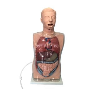 Transparent Gastric Lavage Model, XC-405-2, ESMC, Xinch, China