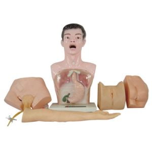 Nurse Basic Practice Teaching Model, XC-405, ESMC, Xinch, China