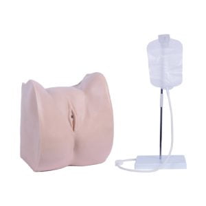 Simple Female Urethral  Catheterization Simulator, XC-405B, ESMC, Xinch, China
