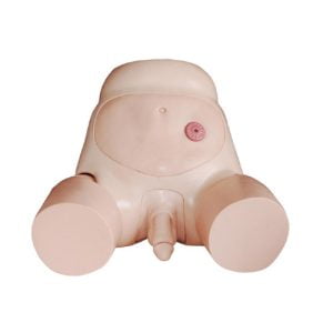 Advanced Male Urethral Catheterization Simulator, XC-408C, ESMC, Xinch, China