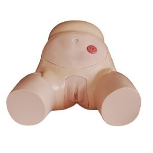 Advanced Female Urethral Catheterization Simulator, XC-408D, ESMC, Xinch, China