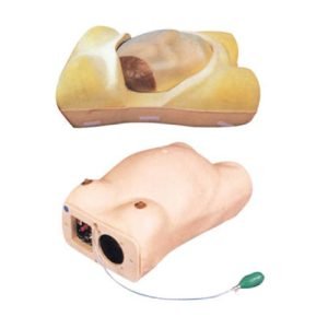 Advanced Maternity Model, XC-412, ESMC, Xinch, China