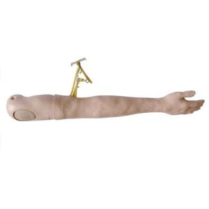 Multi-Functional IV Training Arm, XC-446, ESMC, Xinch, China