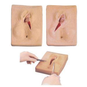 Vulva Suturing Training Simulator, XC-447, ESMC, Xinch, China