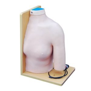 Shoulder Joint Intracavitary Injection Model, XC-452, ESMC, Xinch, China