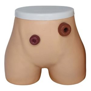 Ostomy Nursing Model, XC-455, ESMC, Xinch, China