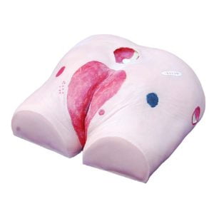 Decubitus Ulcer Care Model, XC-459, ESMC, Xinch, China