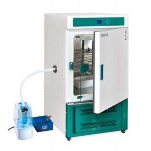 Mould cultivation cabinet