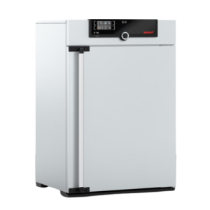 Forced Convection Incubator, IF160, 161 L, ESMC, Memmert, Germany