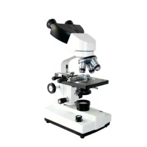Binocular microscope